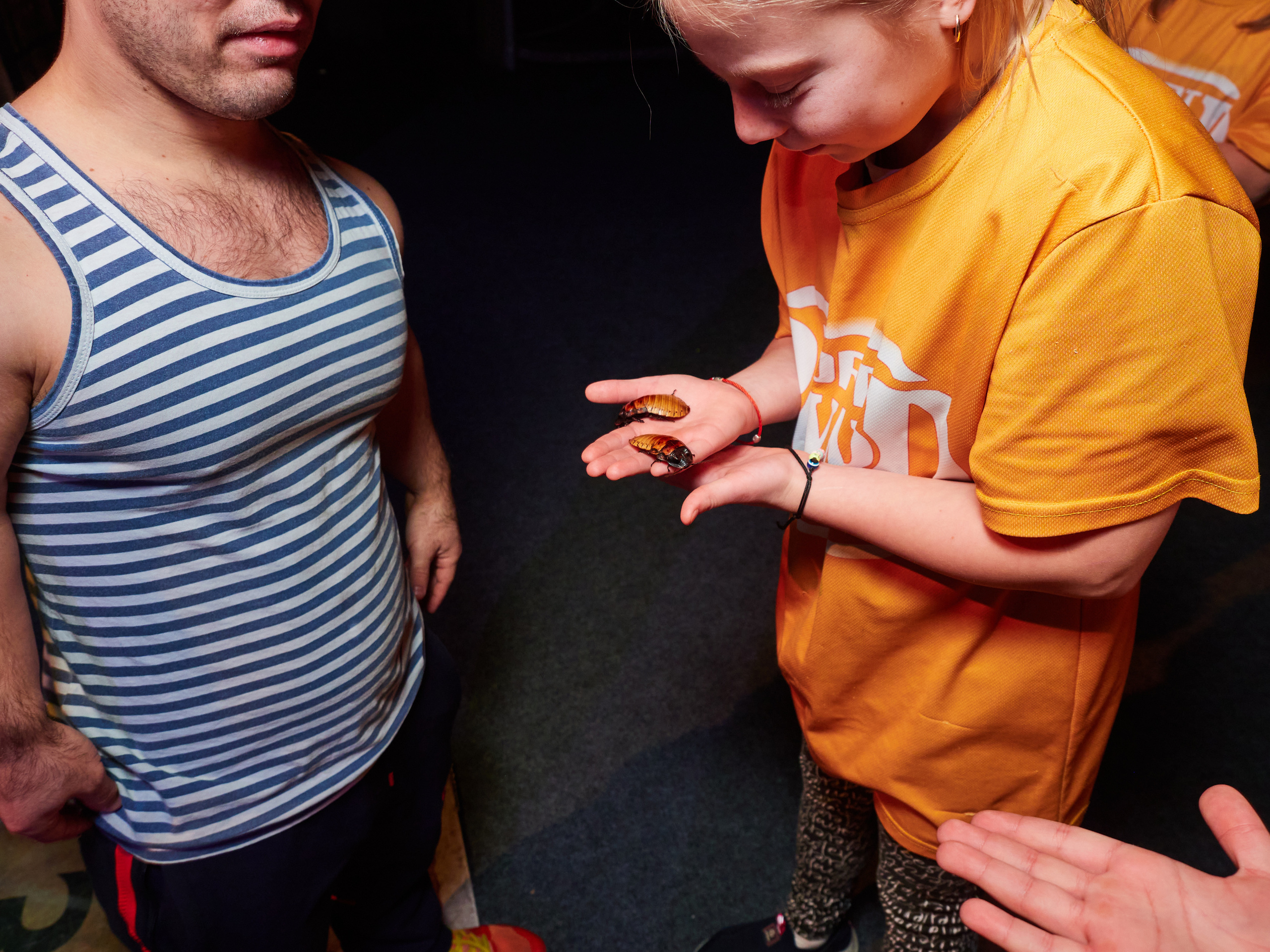 Квесты. Главная