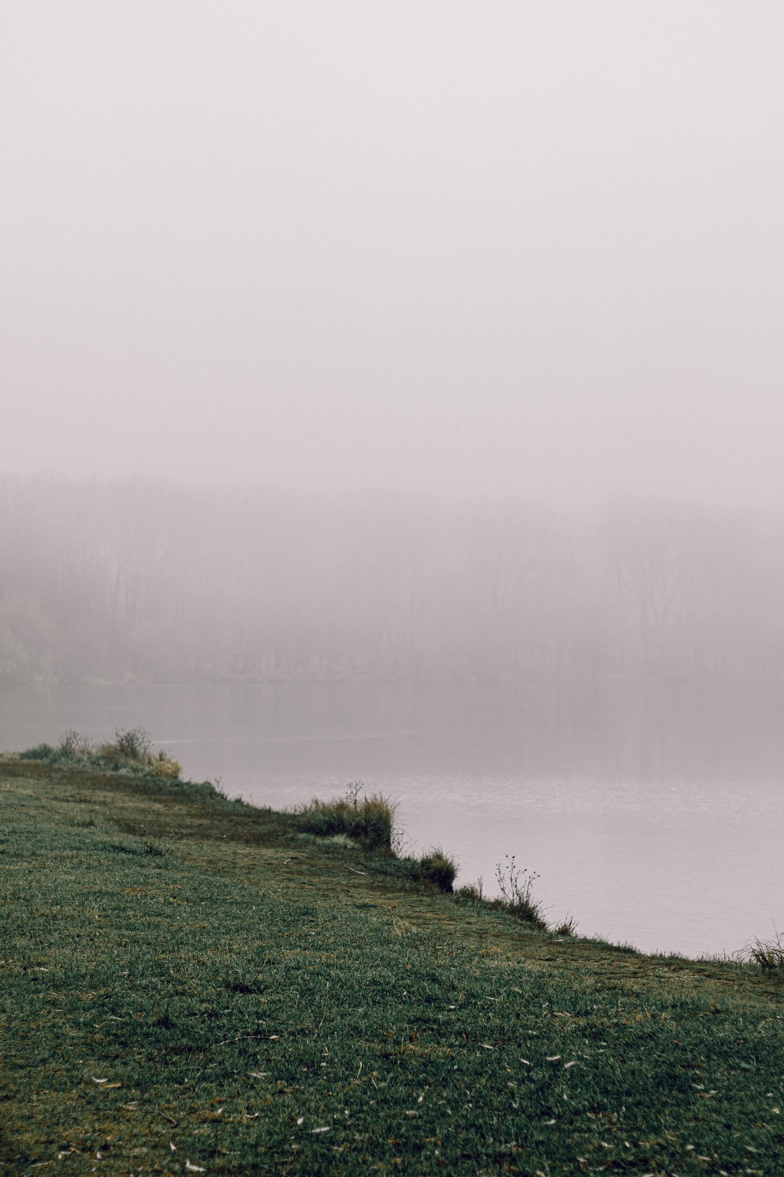 Nature. Street photographer Ksenya Loboda