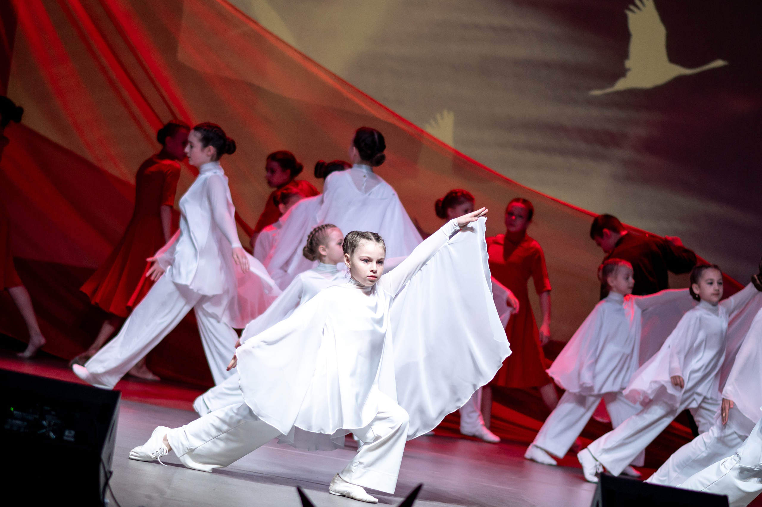 Движение. Отчетный концерт. Май, 2025. Спортивный фотограф в Туле и Тульской области. Файсханова Фото Спорт
