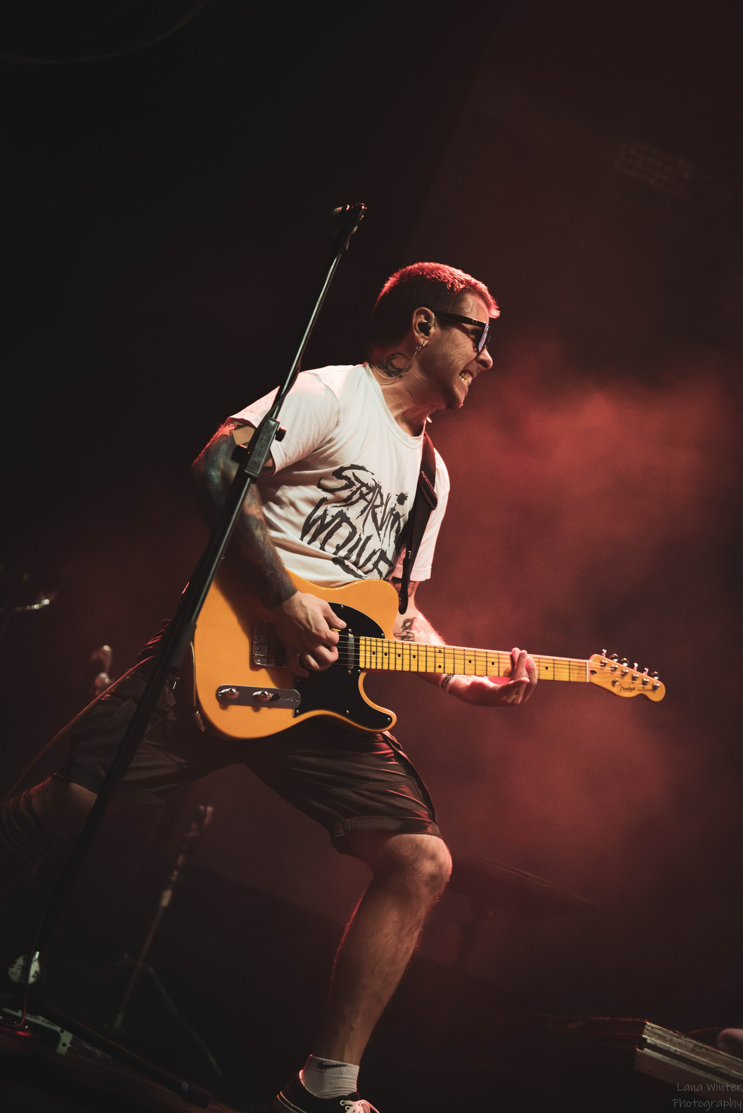 Distemper (4 января 2026 года, Москва, клуб Base). Фотограф Светлана Блинова, Москва и Московская область