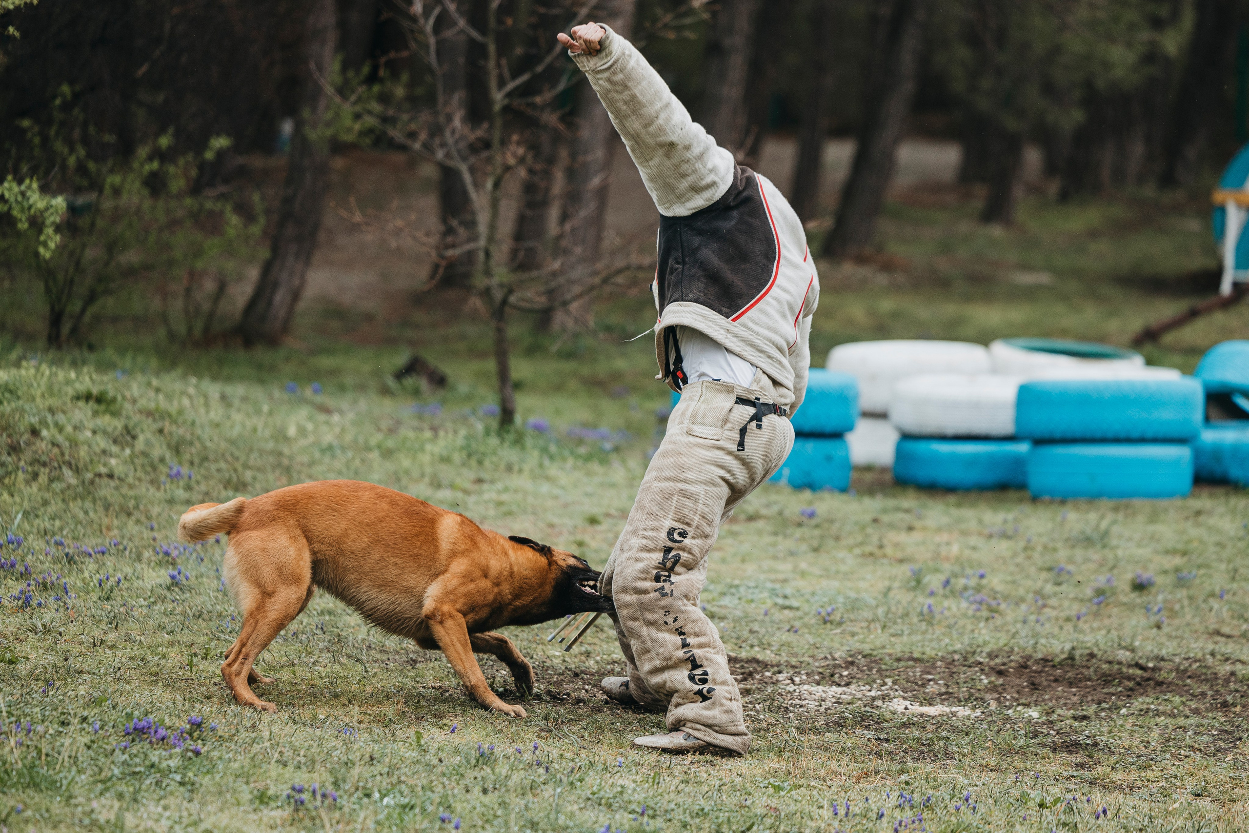 Геленджик Мондьоринг. Фотограф-анималист Анна Маринич