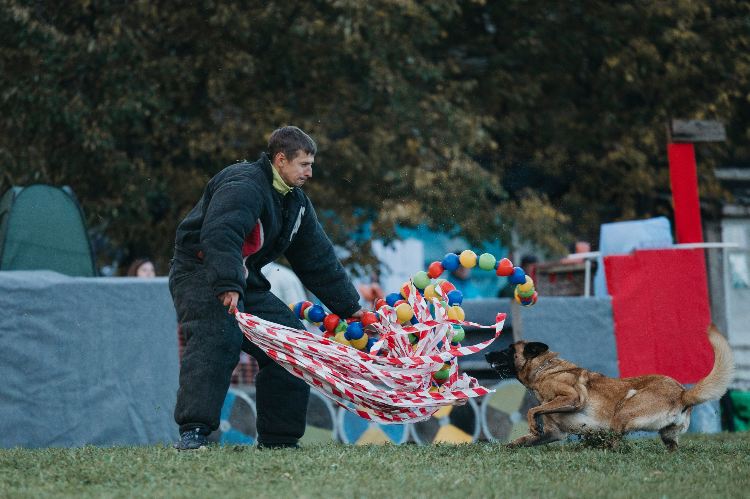 Испытания по мондьорингу г. Пушкин 29.09.2024. Фотограф-анималист Анна Маринич