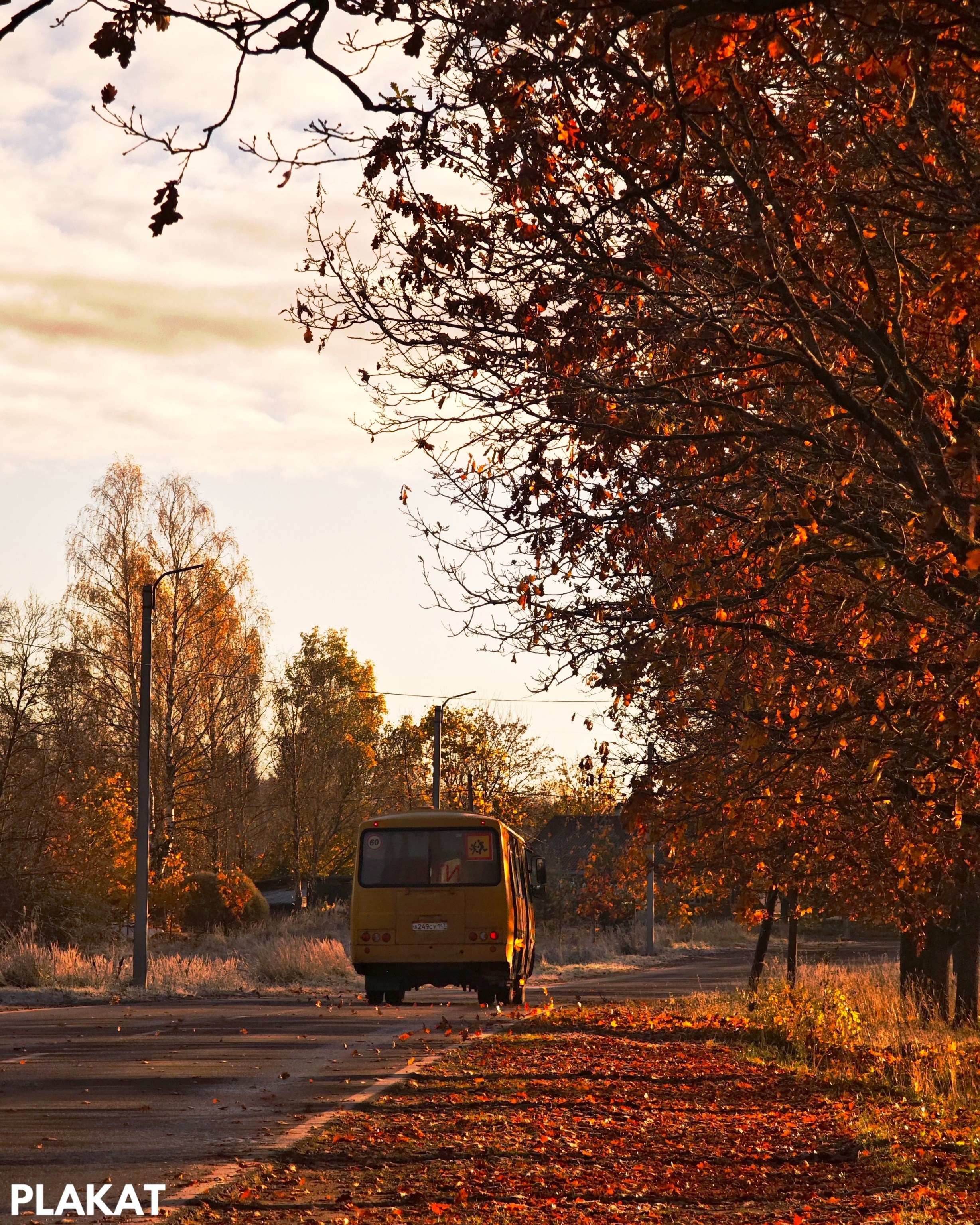 @danilovanatalia2016