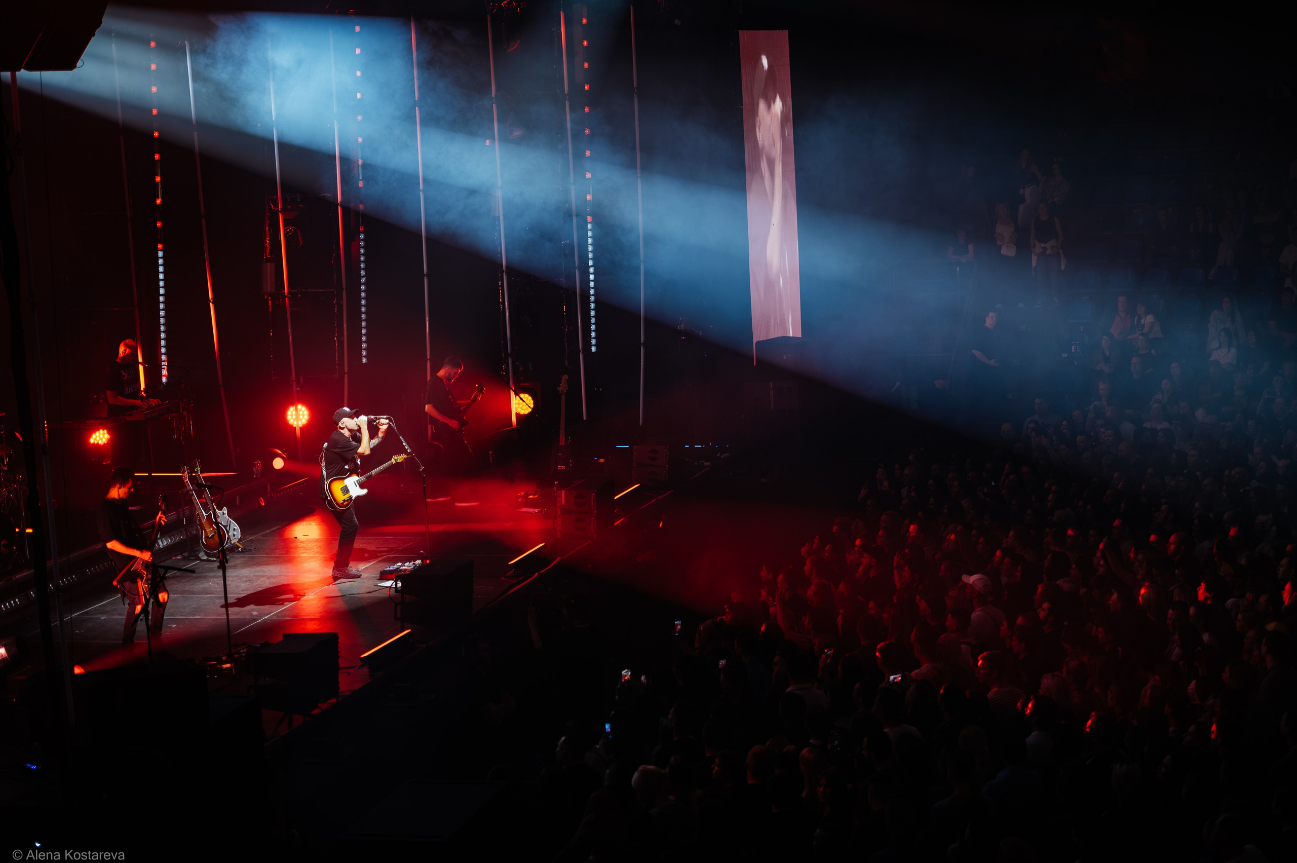 Звери. Алена Костарева. Фотограф в Ростове-на-Дону
