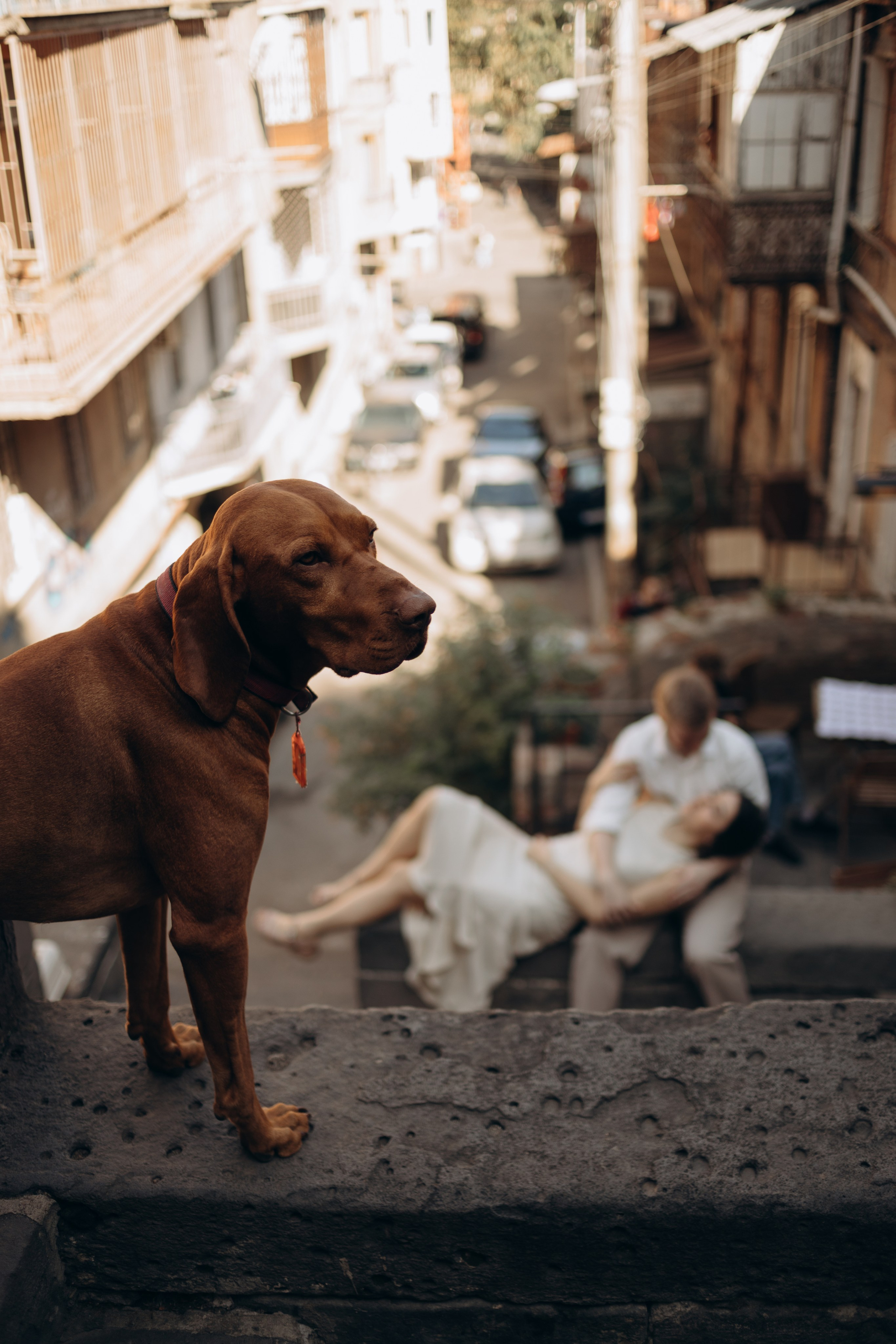 Лилия и Дмитрий. Фотограф в Тбилиси Наталья Фомина