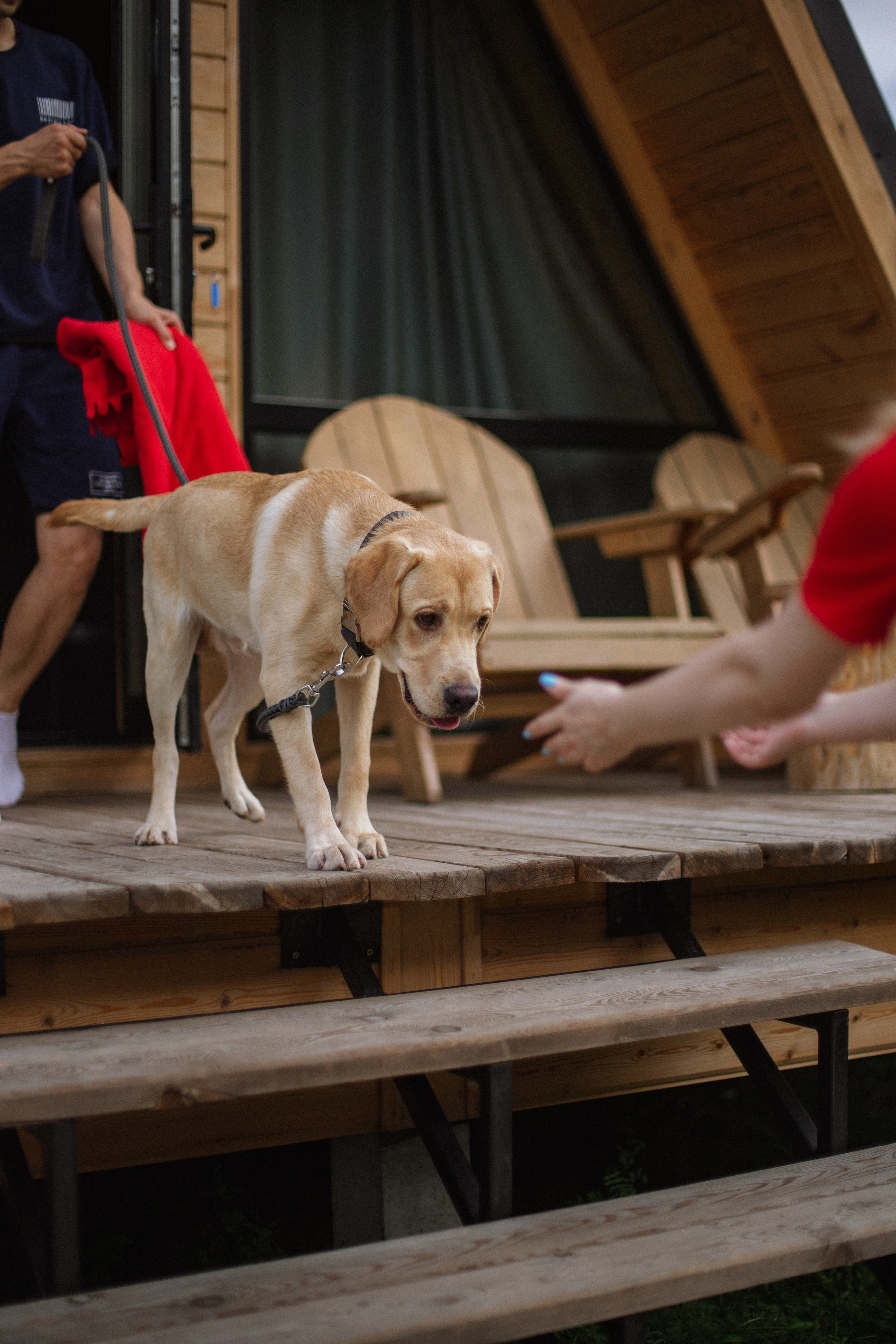 Love story. Фотограф Горный Алтай