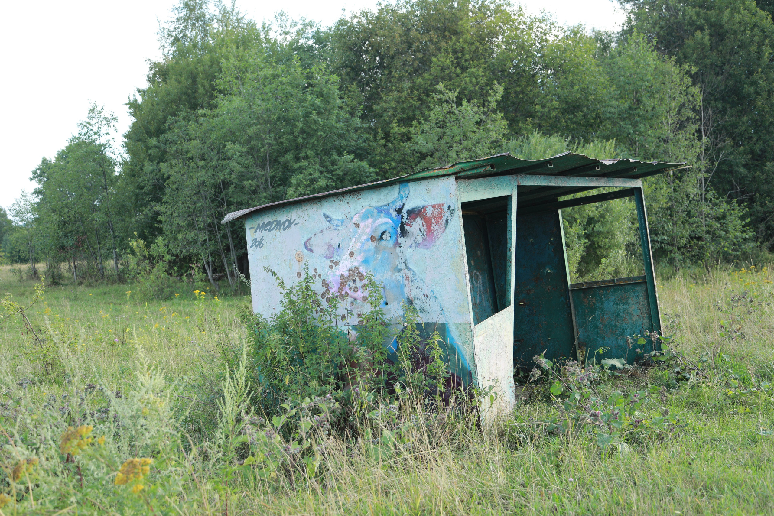 Про жизнь. Фотограф Сергей Ловкий