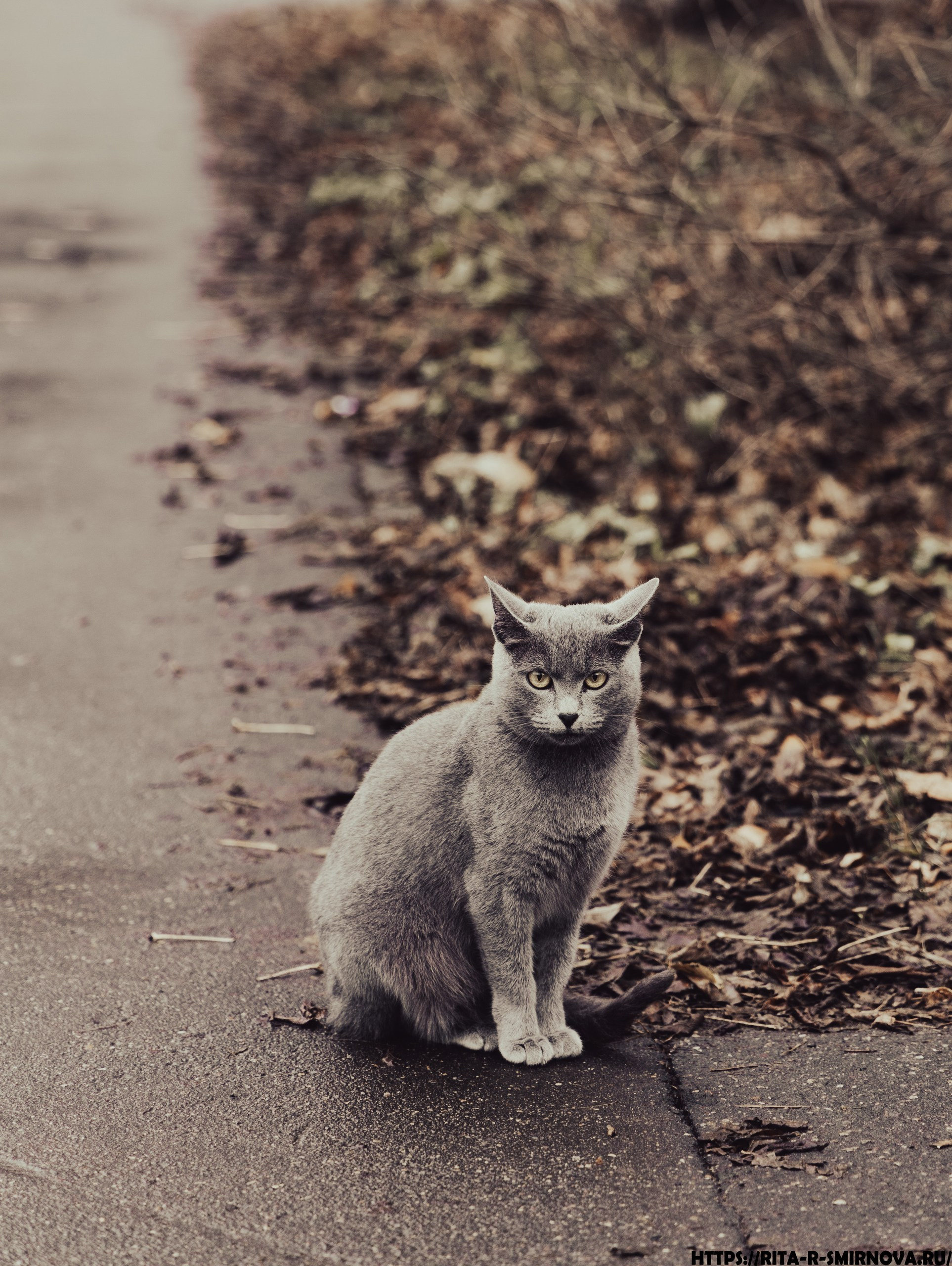 Назад в прошлое