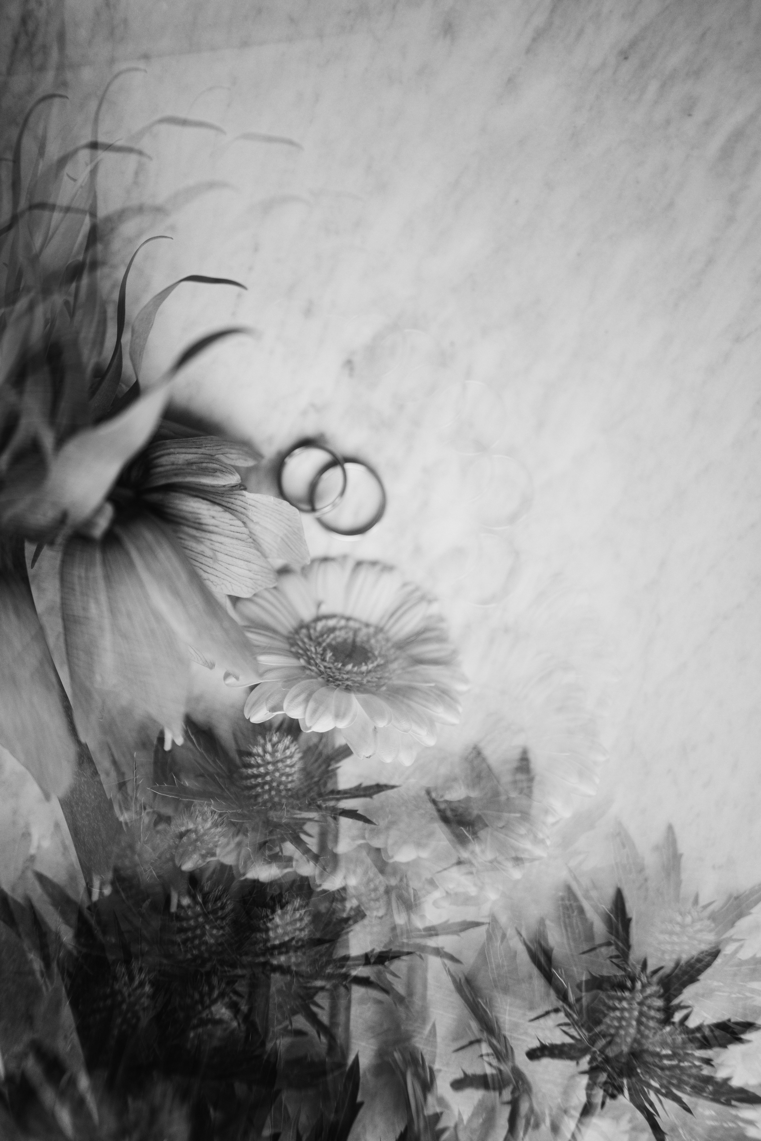 Илья и Мария. ФОТОГРАФ АЛИНА ФОКА