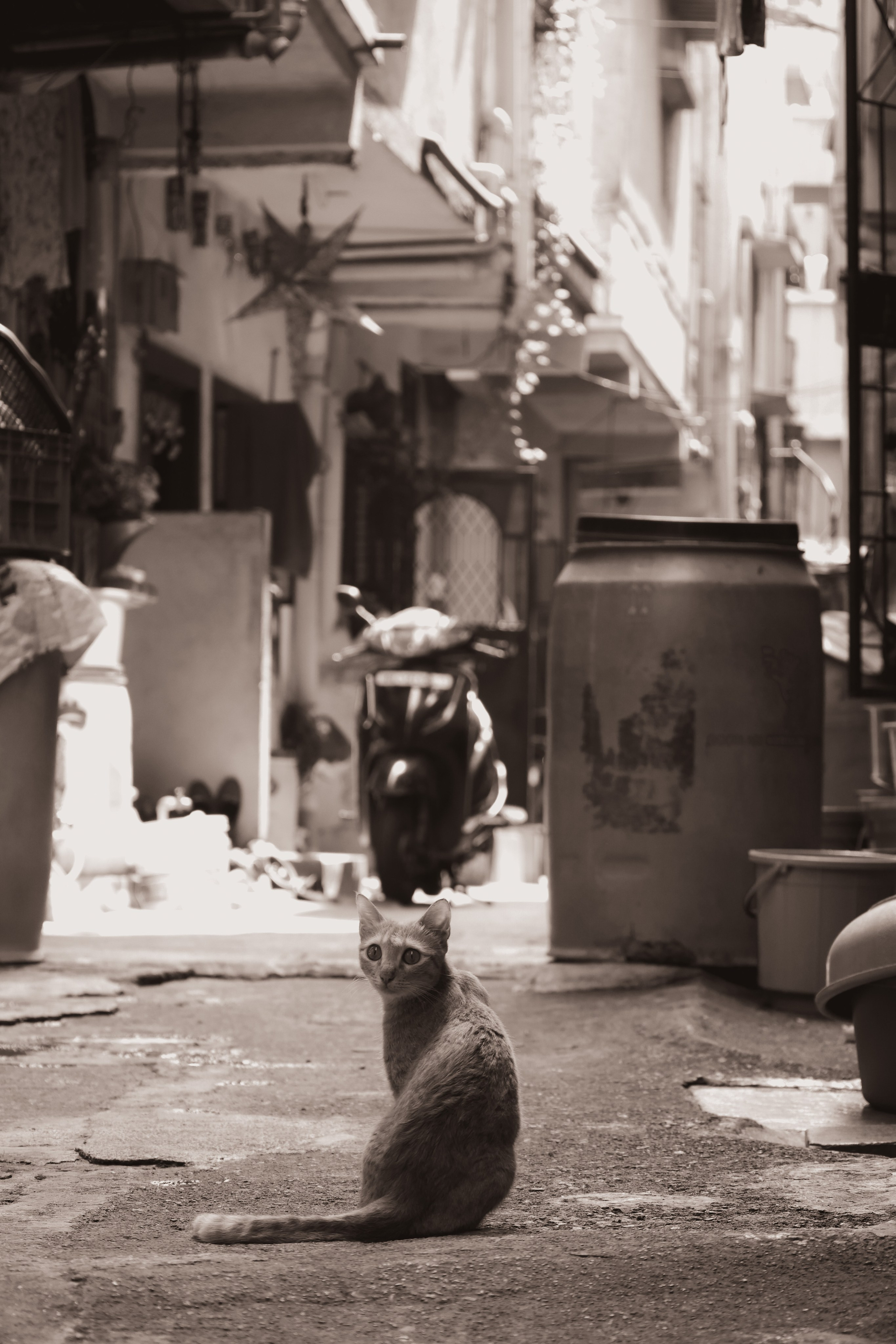 India. Фотограф в Москве