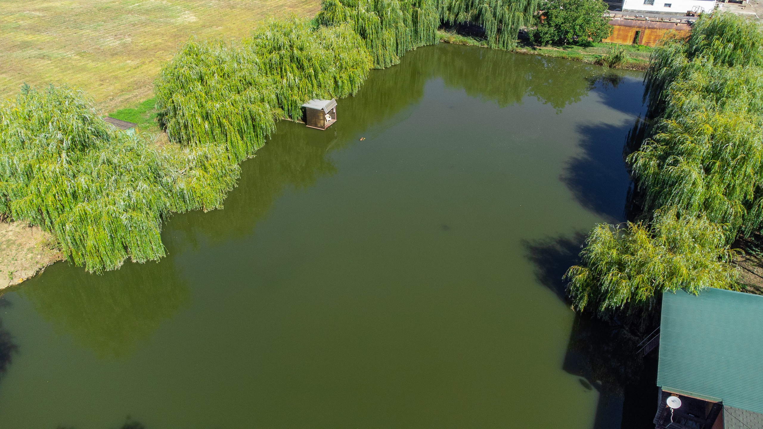 Ильское земельный массив 6,59 га. Инвестиционный консалтинг недвижимость