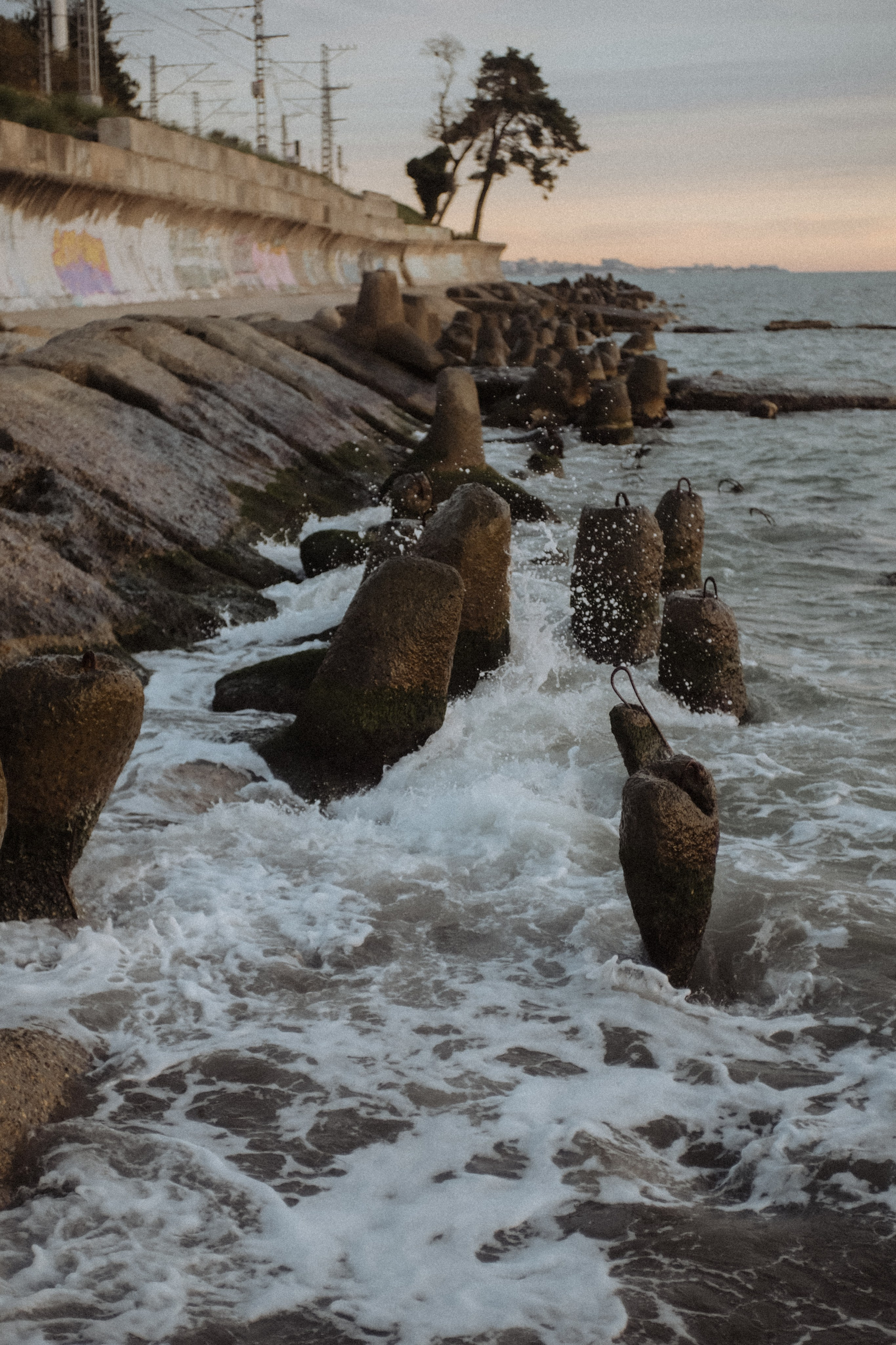 Лиза. ФОТОГРАФ АННА КАЗАРЯН