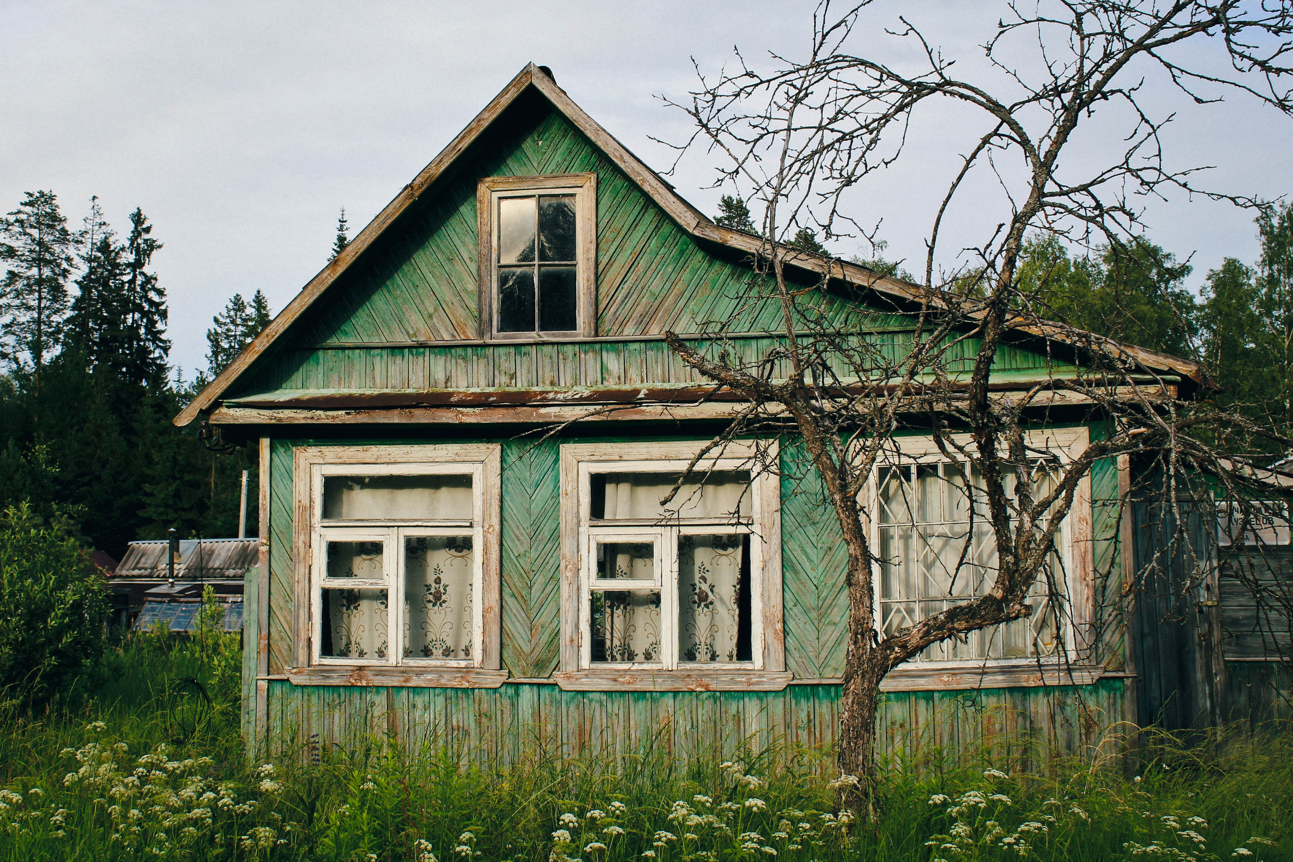 Дер. Александровка. Фотограф Ксения Монахова