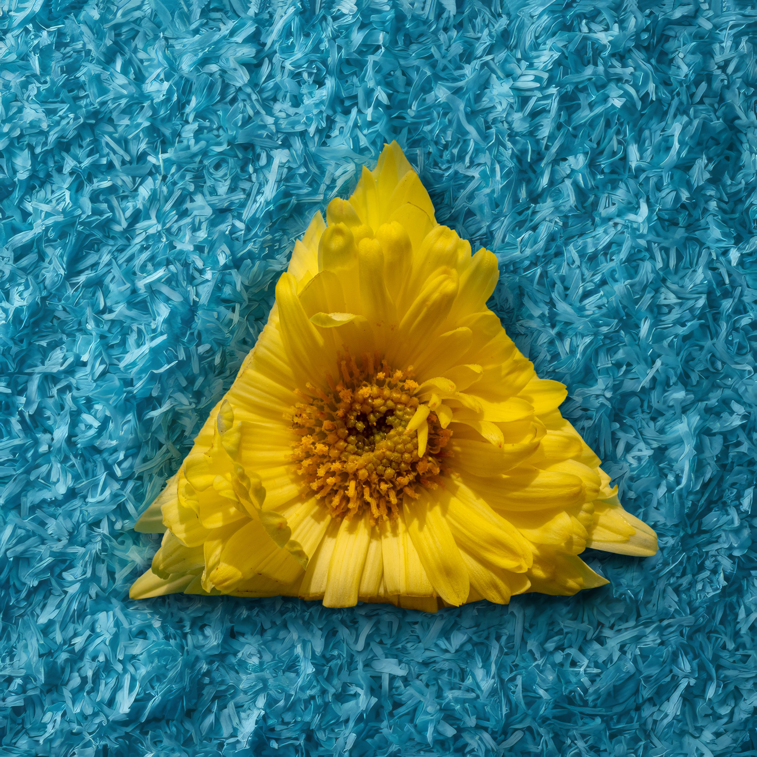 Кубики. Alena Ivochkina — conceptual photographer