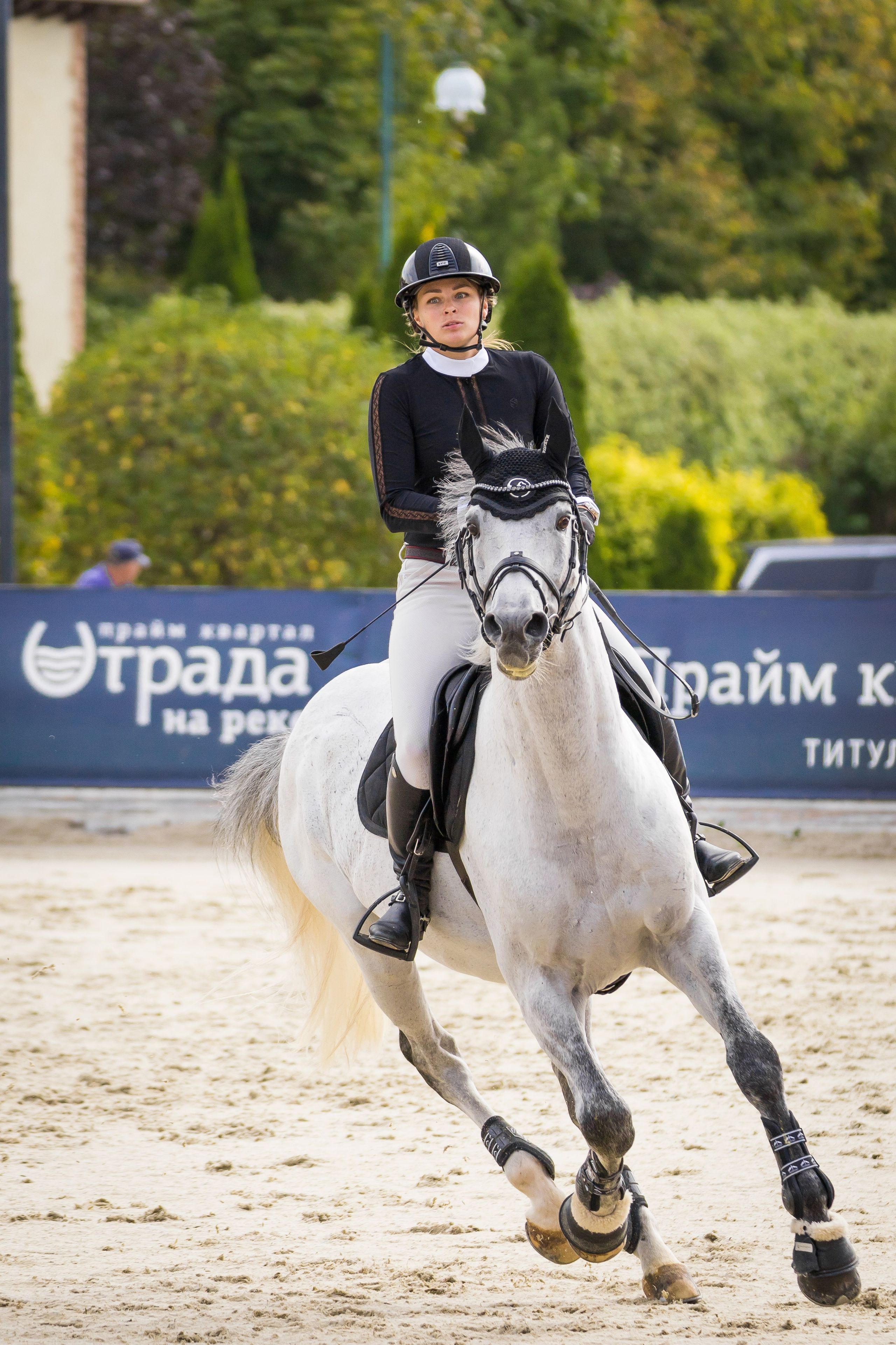 Конный спорт. Photomantis