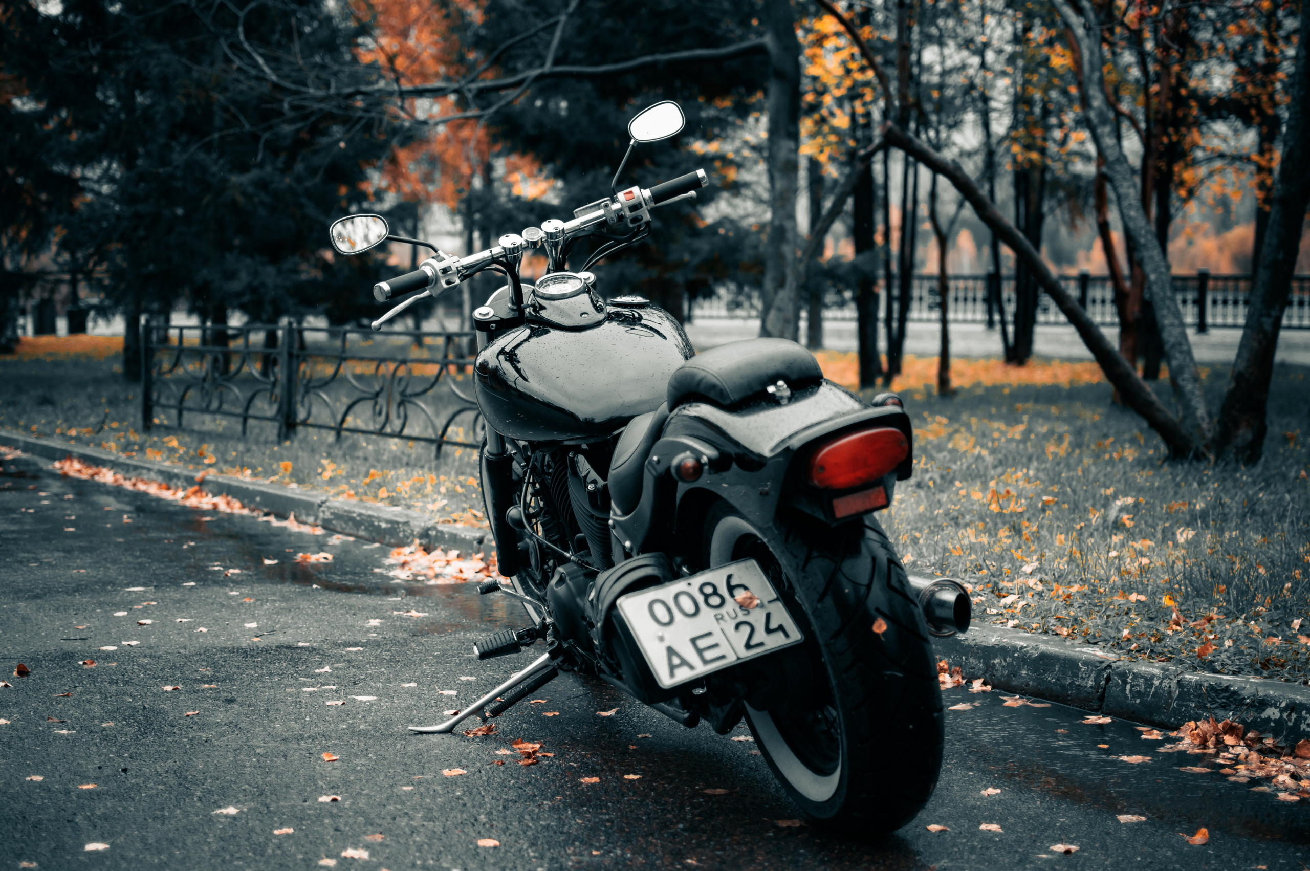 Последние дни осени. G G L V D M T R | Фотограф в Красноярске