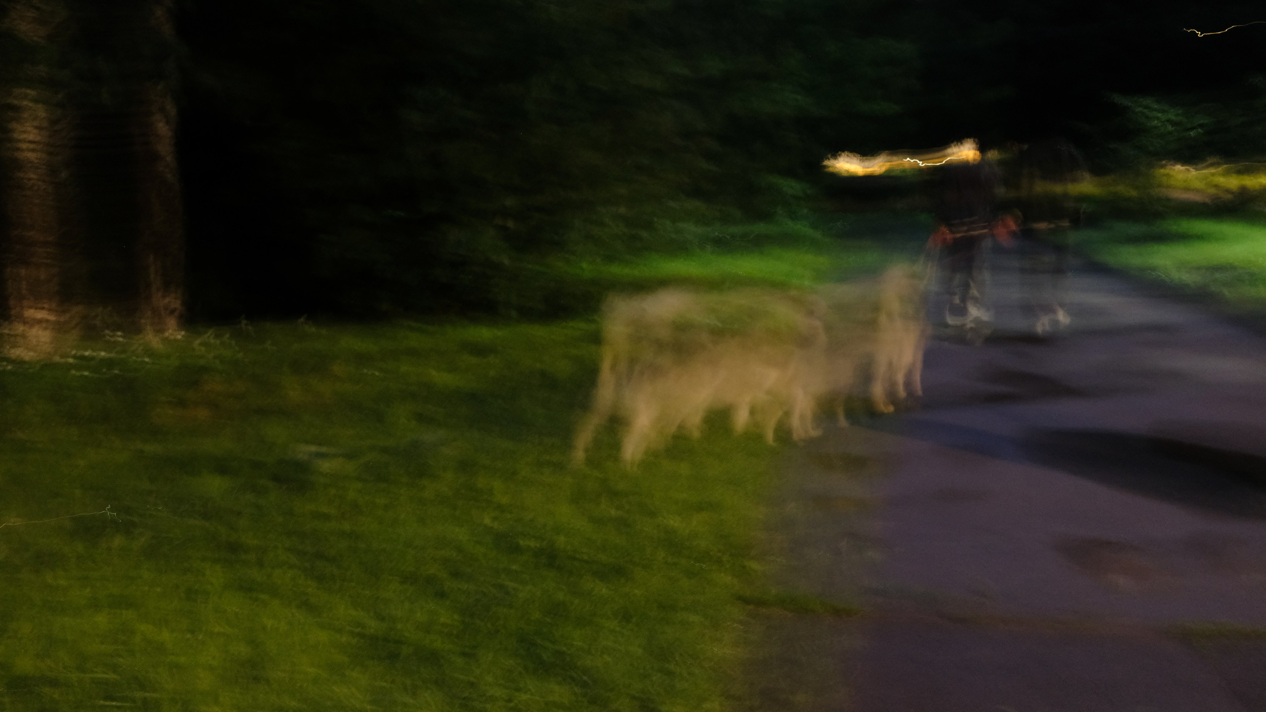 Walking through damp and darkness. Фотограф Антонина Гудкова
