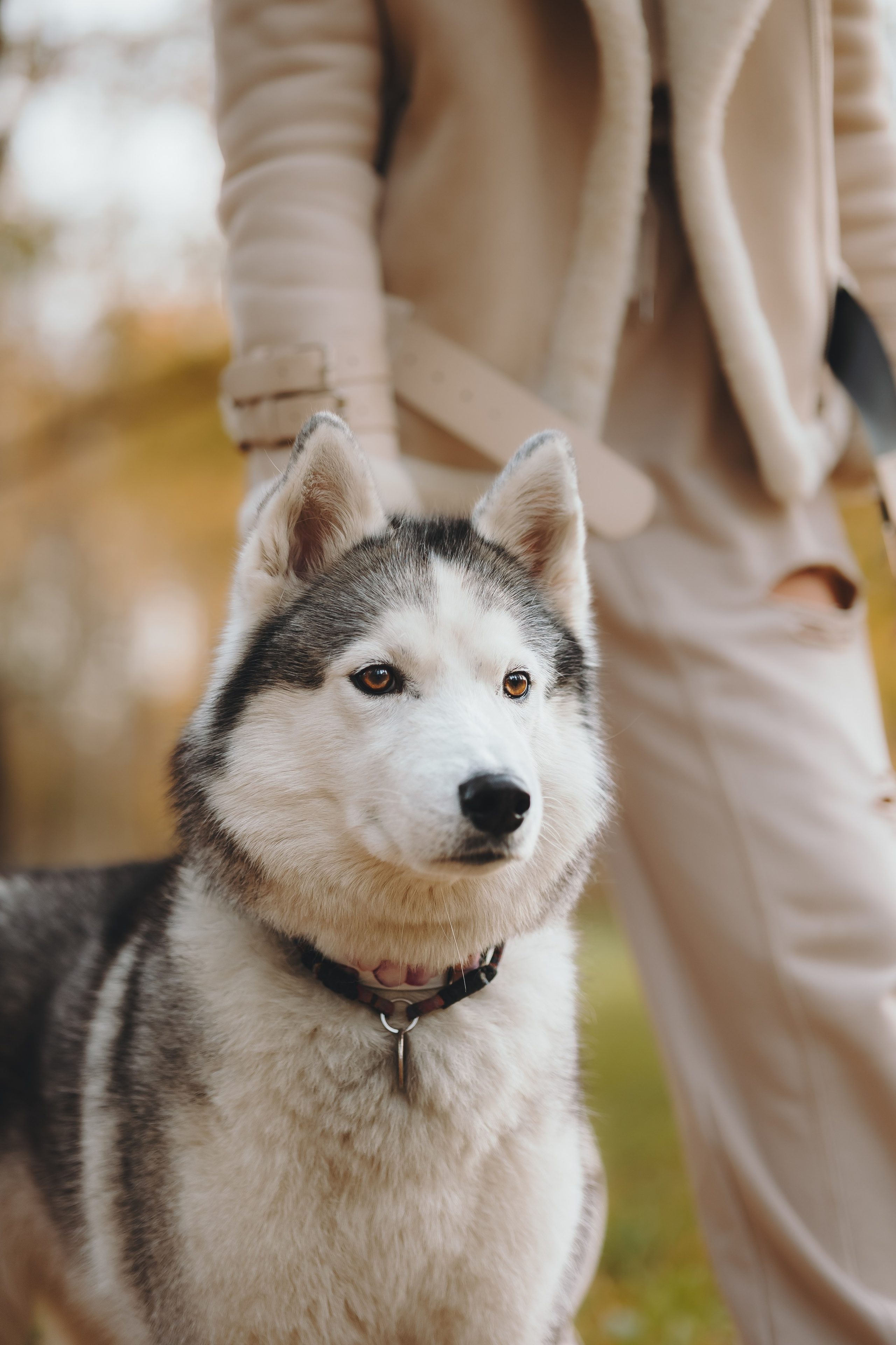 Настя и Айс. Фотограф-анималист в Санкт-Петербурге Алина Яхонт
