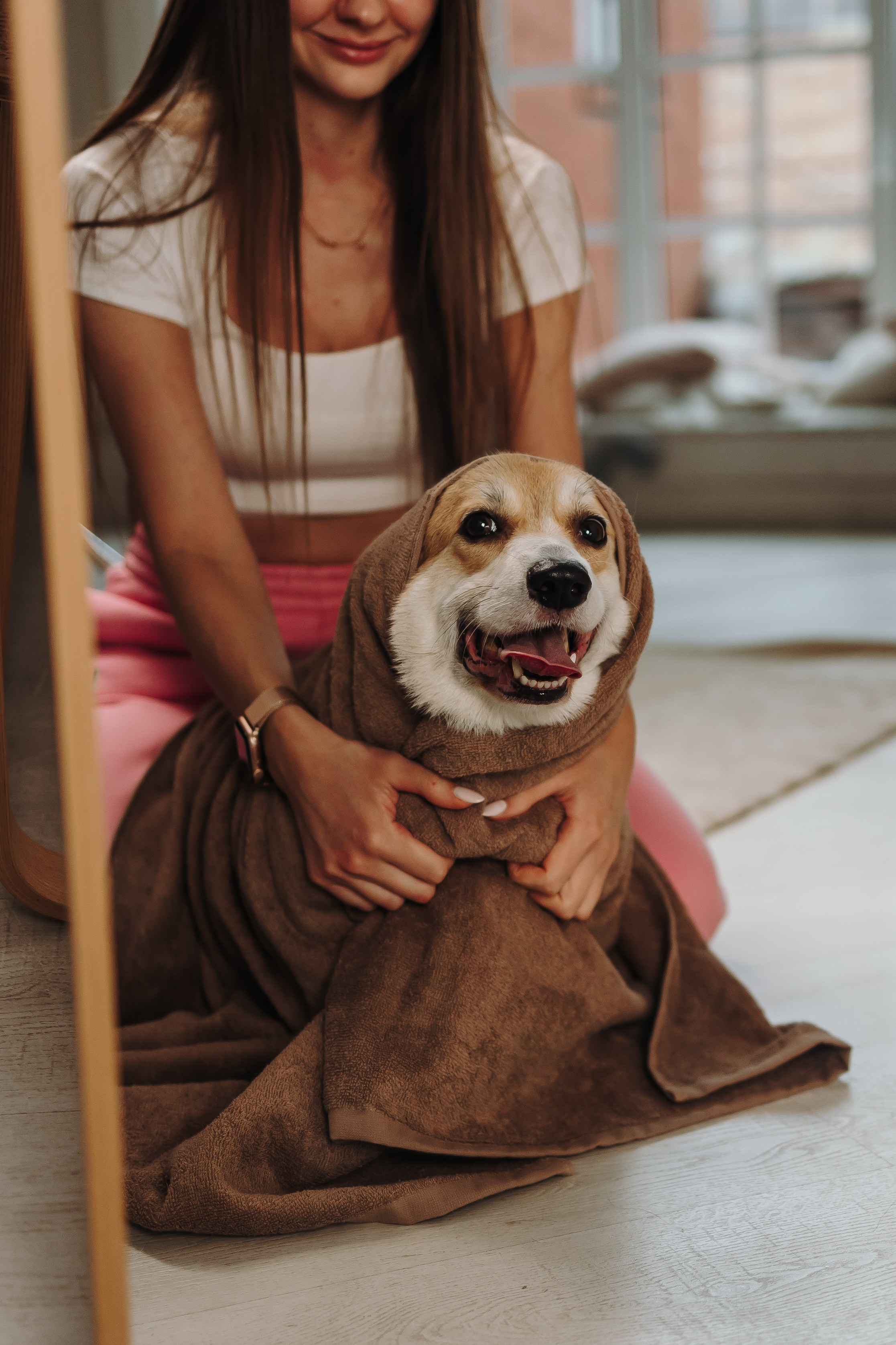 Груминг. Фотограф-анималист в Санкт-Петербурге Алина Яхонт