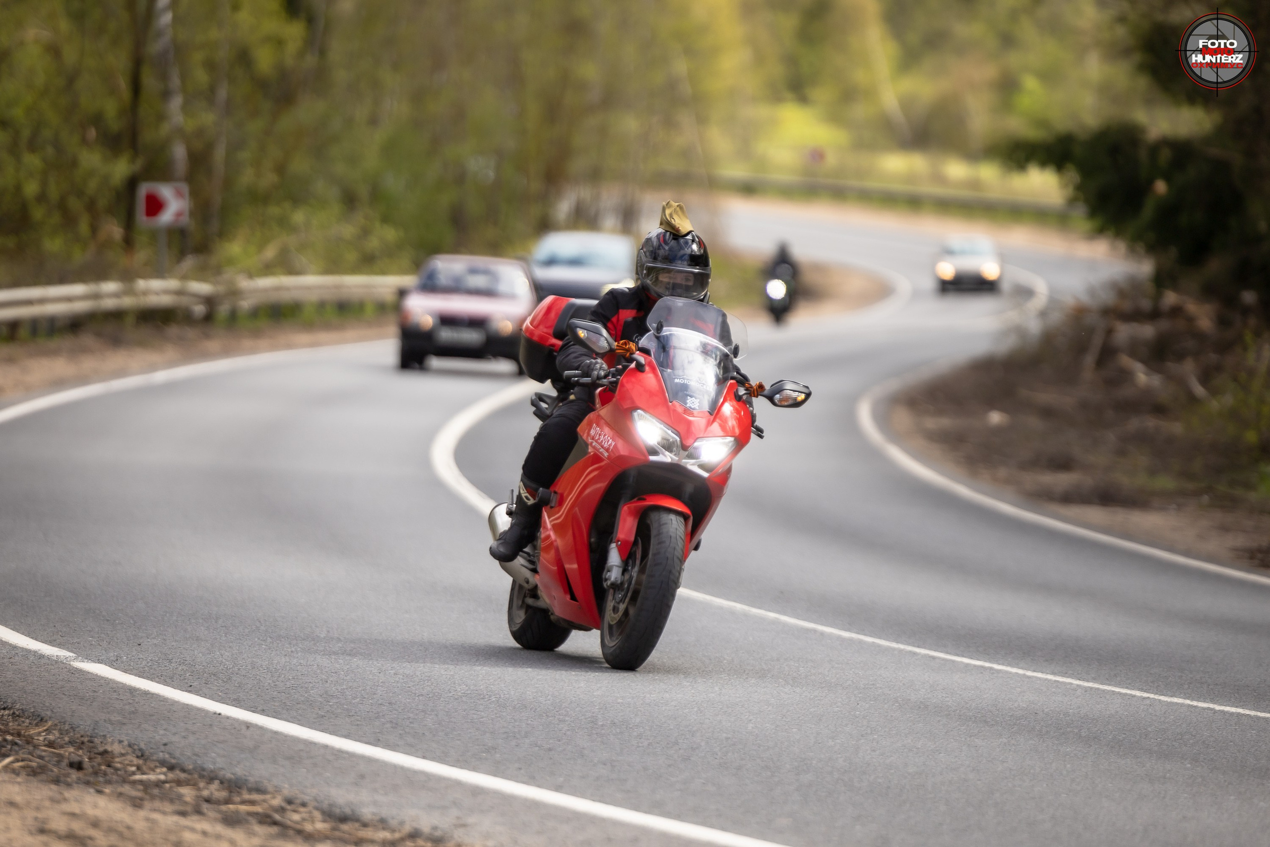 Первое Сафари в 2025 г. на Рогачевском ш. Фотограф Владимир Охрименко