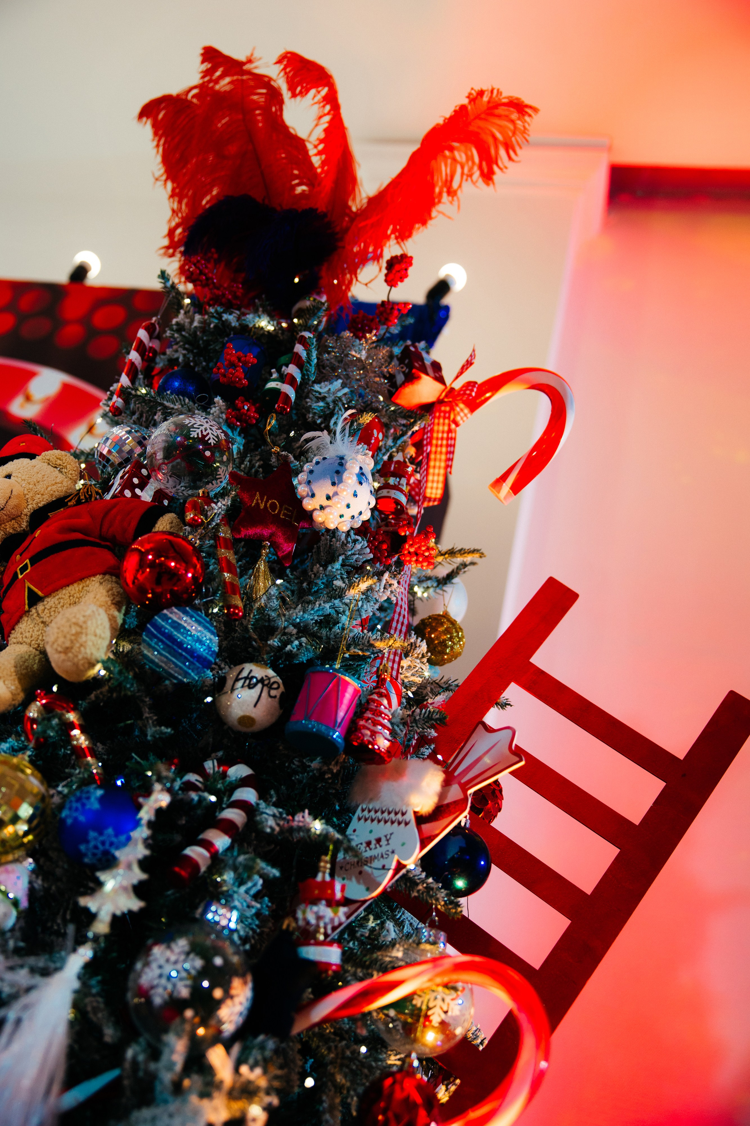 Корпоратив Цирк. Свадебный фотограф Минск РБ