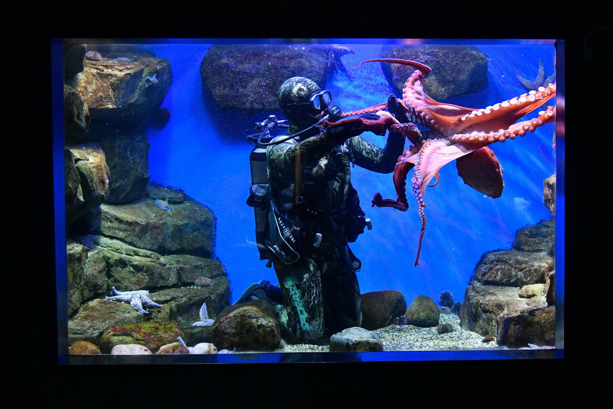 Репортаж. Антон Великжанин — фотокорреспондент