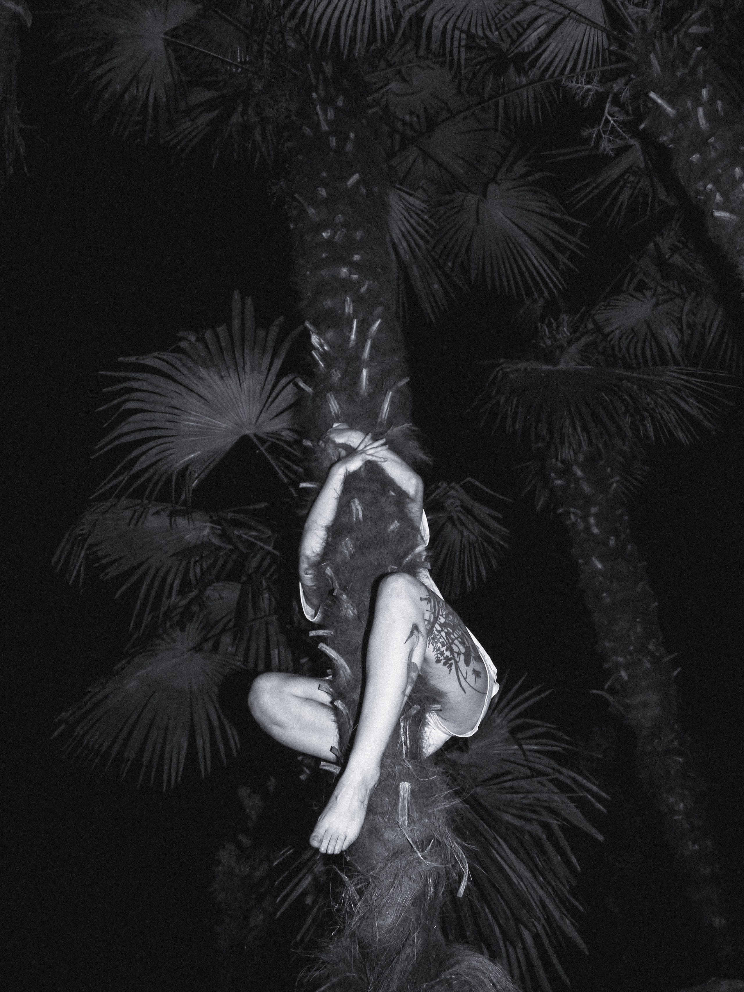 художественный фотограф на выставки