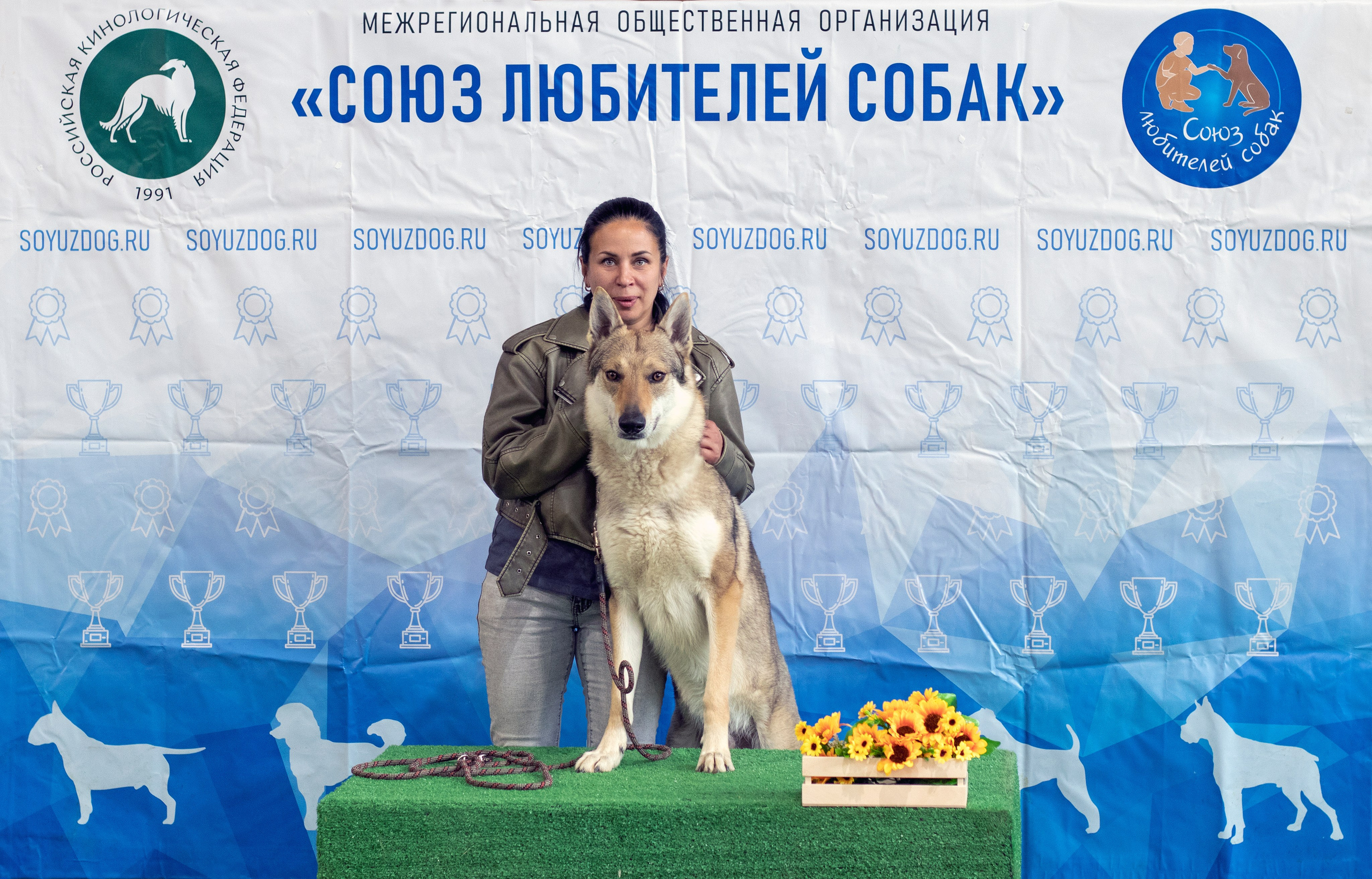 Собаки. Фотограф в Вязьме