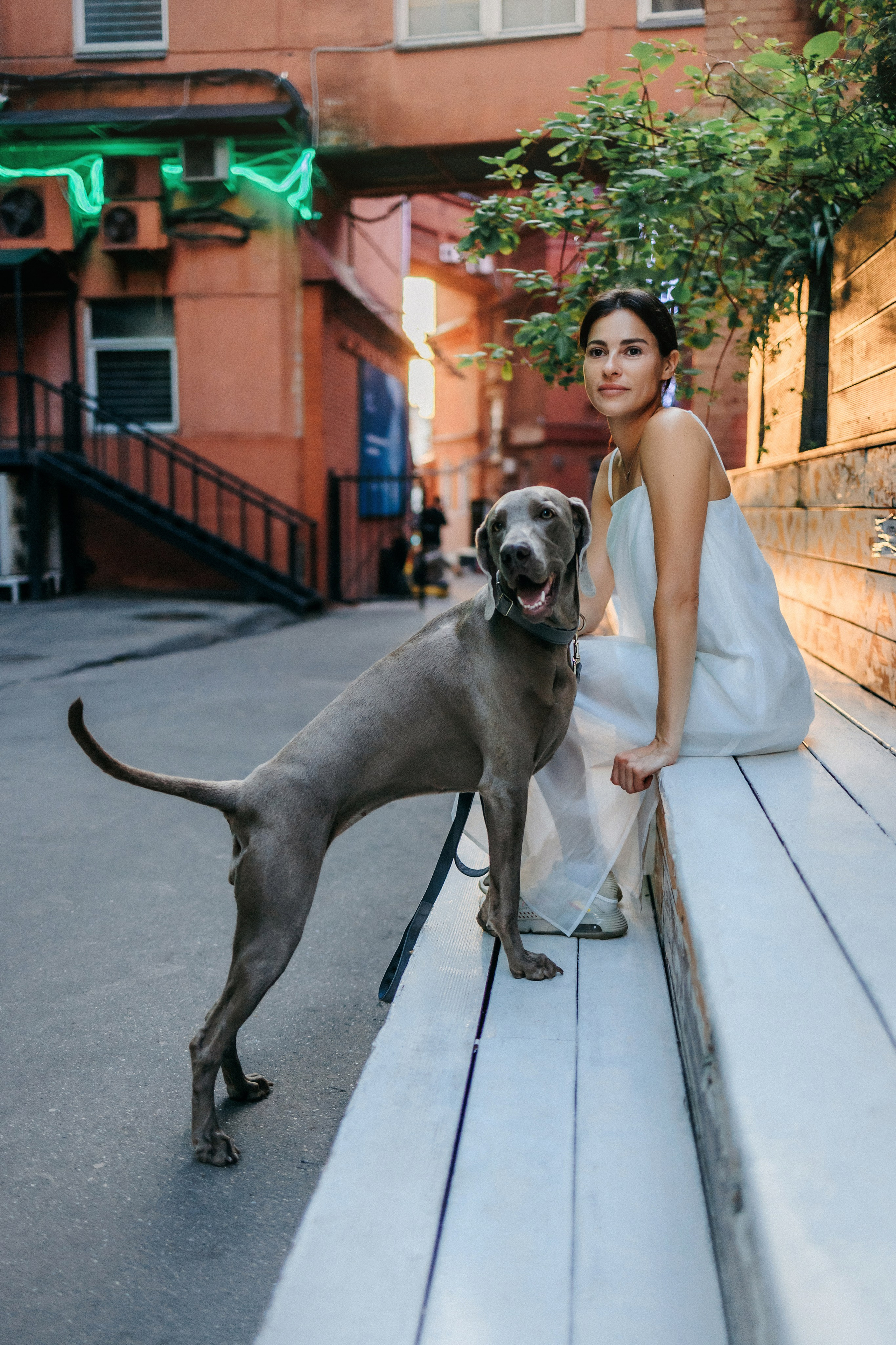 Соня и Майли. Фотограф-анималист Елена Радченко, Москва