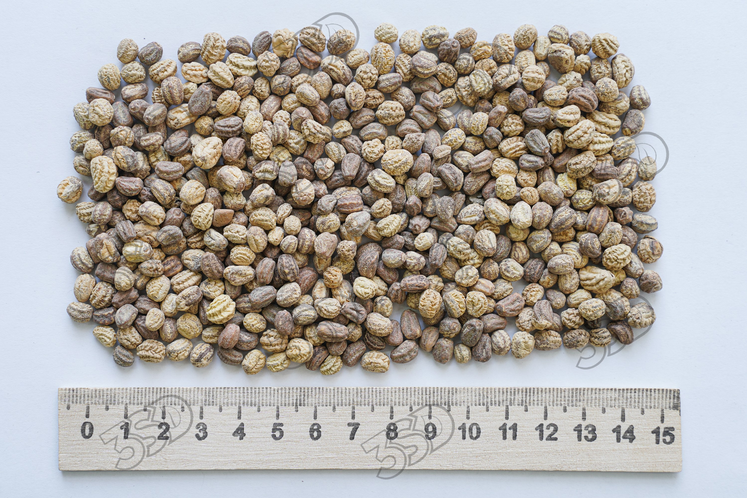 Для бизнеса. Репортажный и интерьерный фотограф в Вологде Артем Осташов