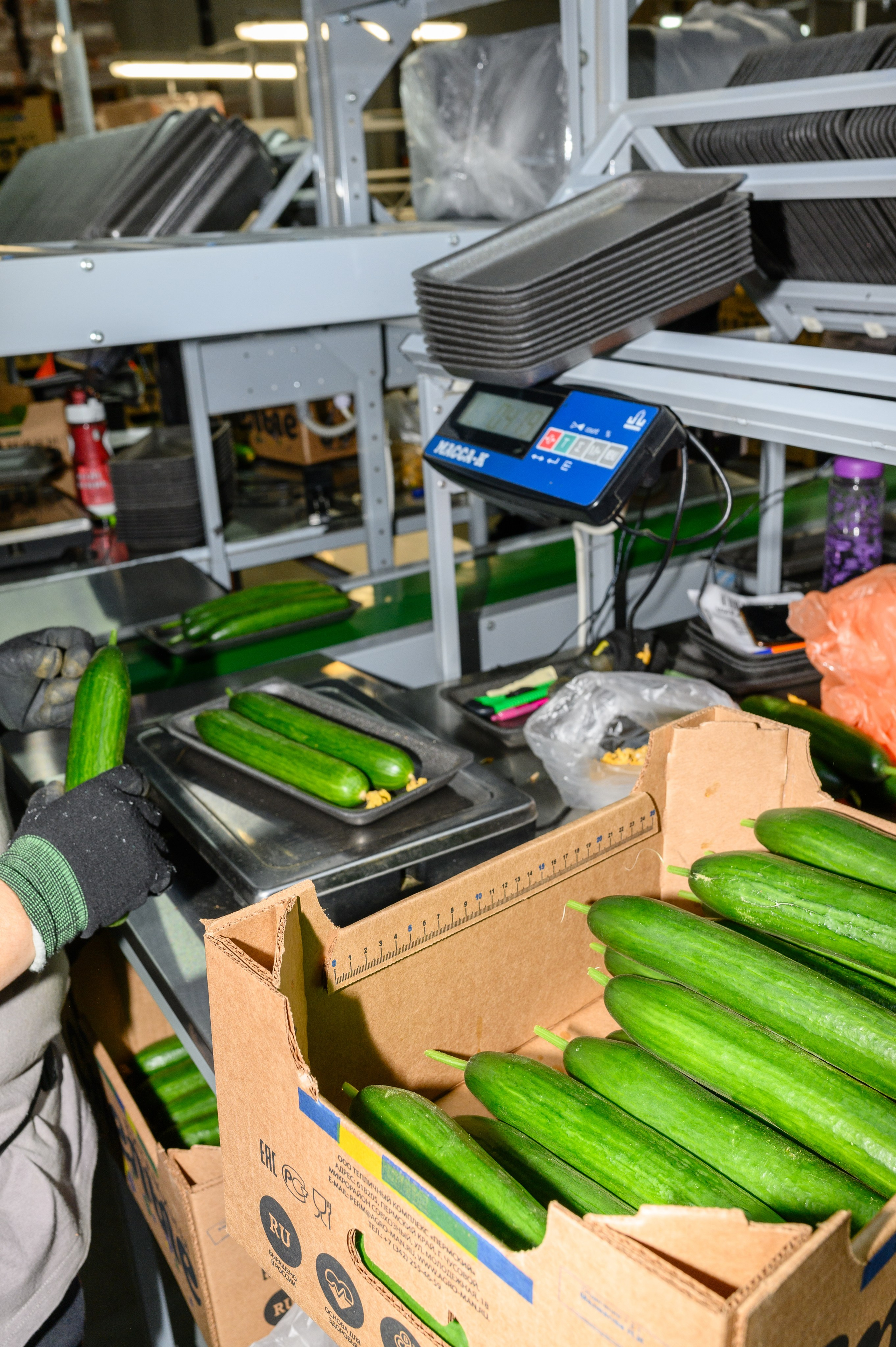 Тепличный комплекс «ПЕРМСКИЙ»