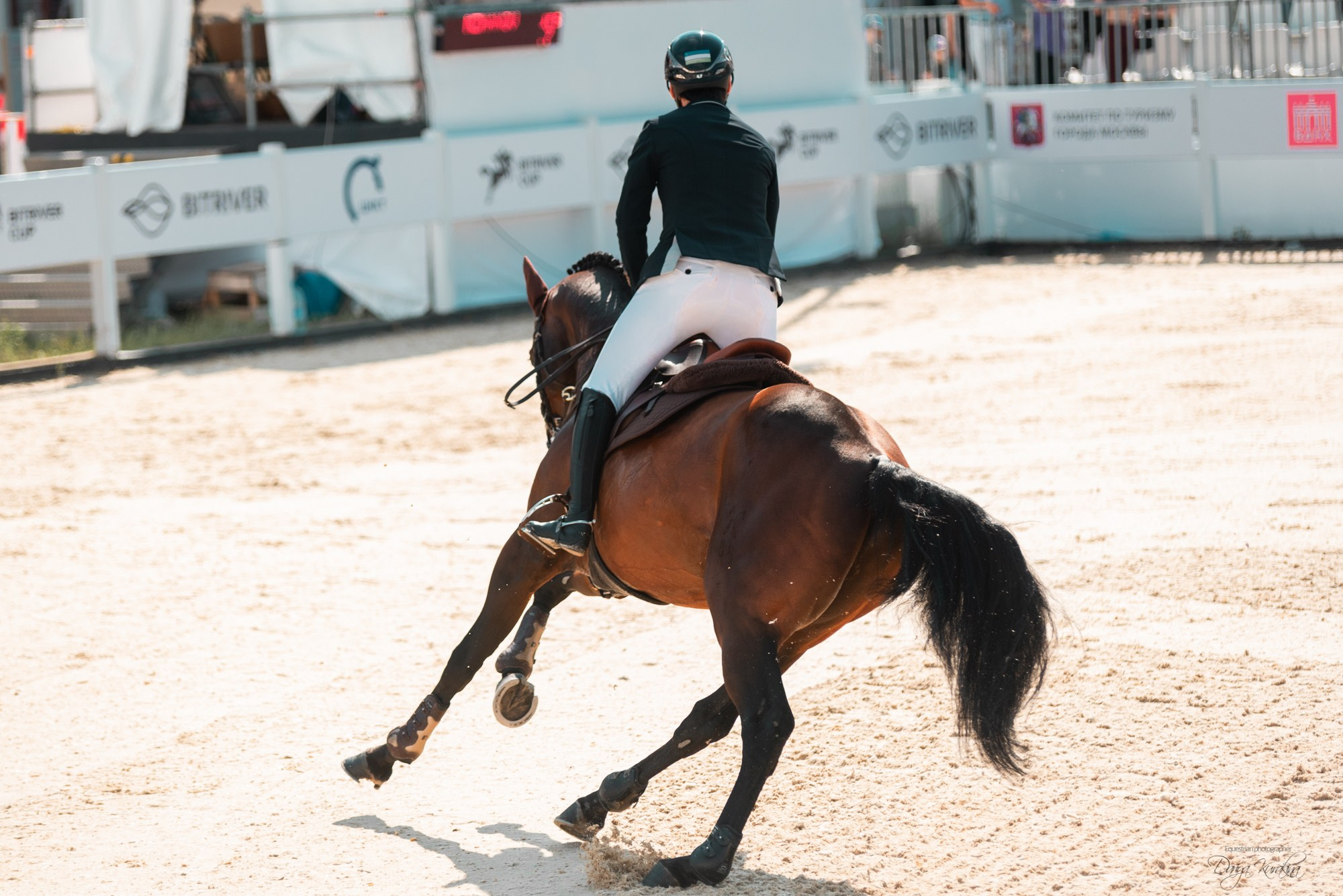 BITRIVER CUP 2023. Конный фотограф Куракина Дарья • Фотосессии с лошадьми