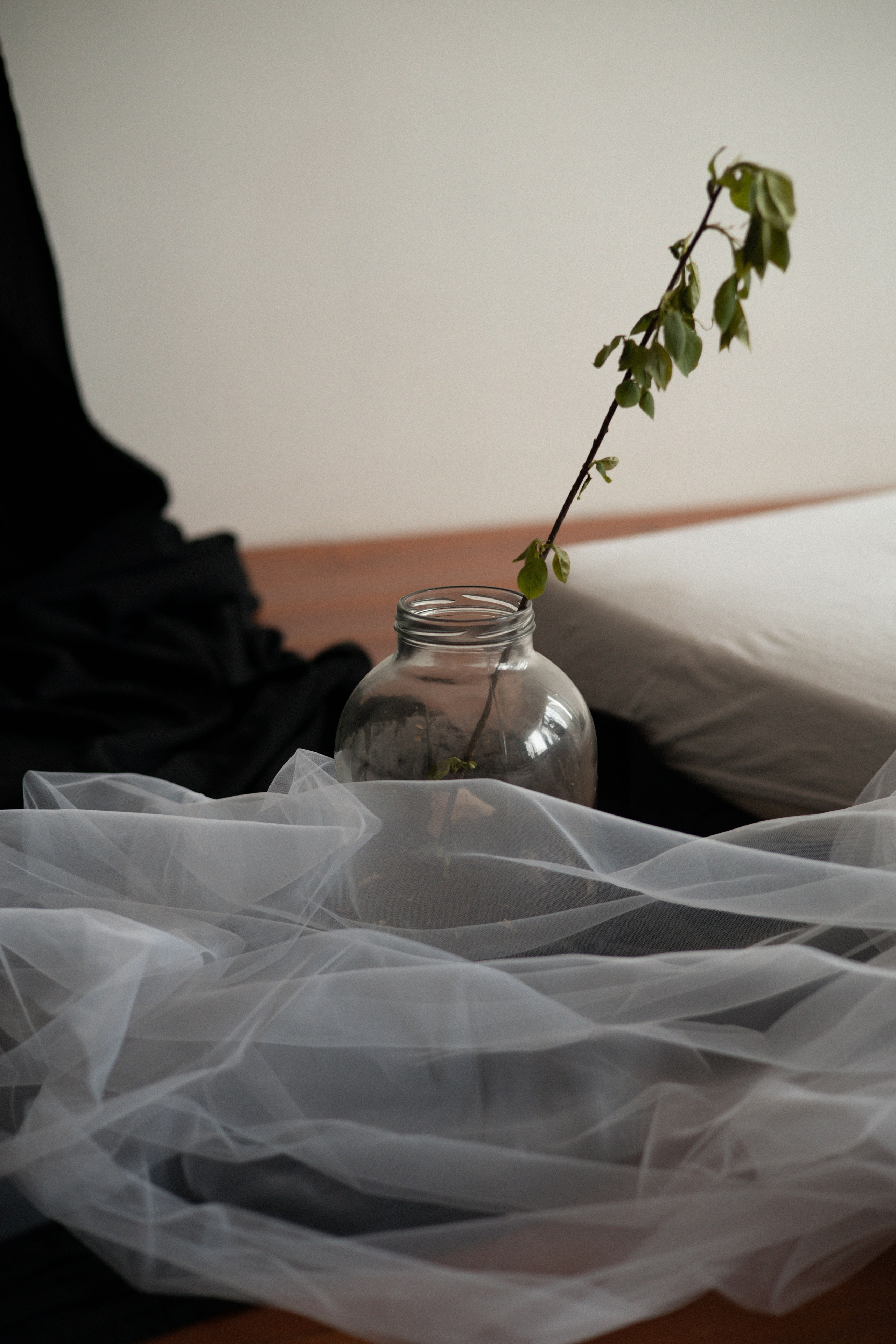 Оля. Семейный видеограф в Москве Элина Ладова