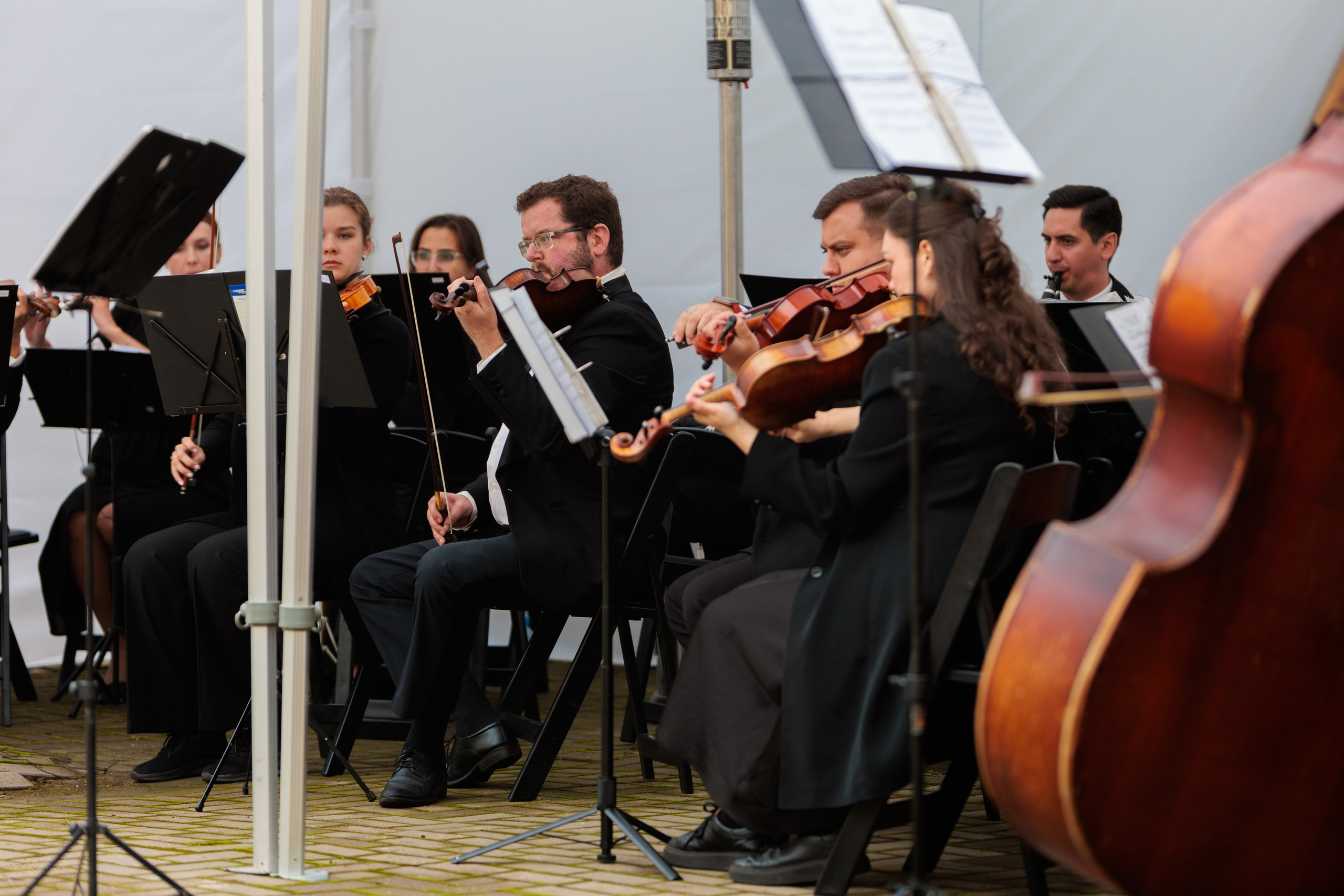 Концерт малого симфонического оркестра. Репортажный фотограф Санкт-Петербург | Роман Карбышев