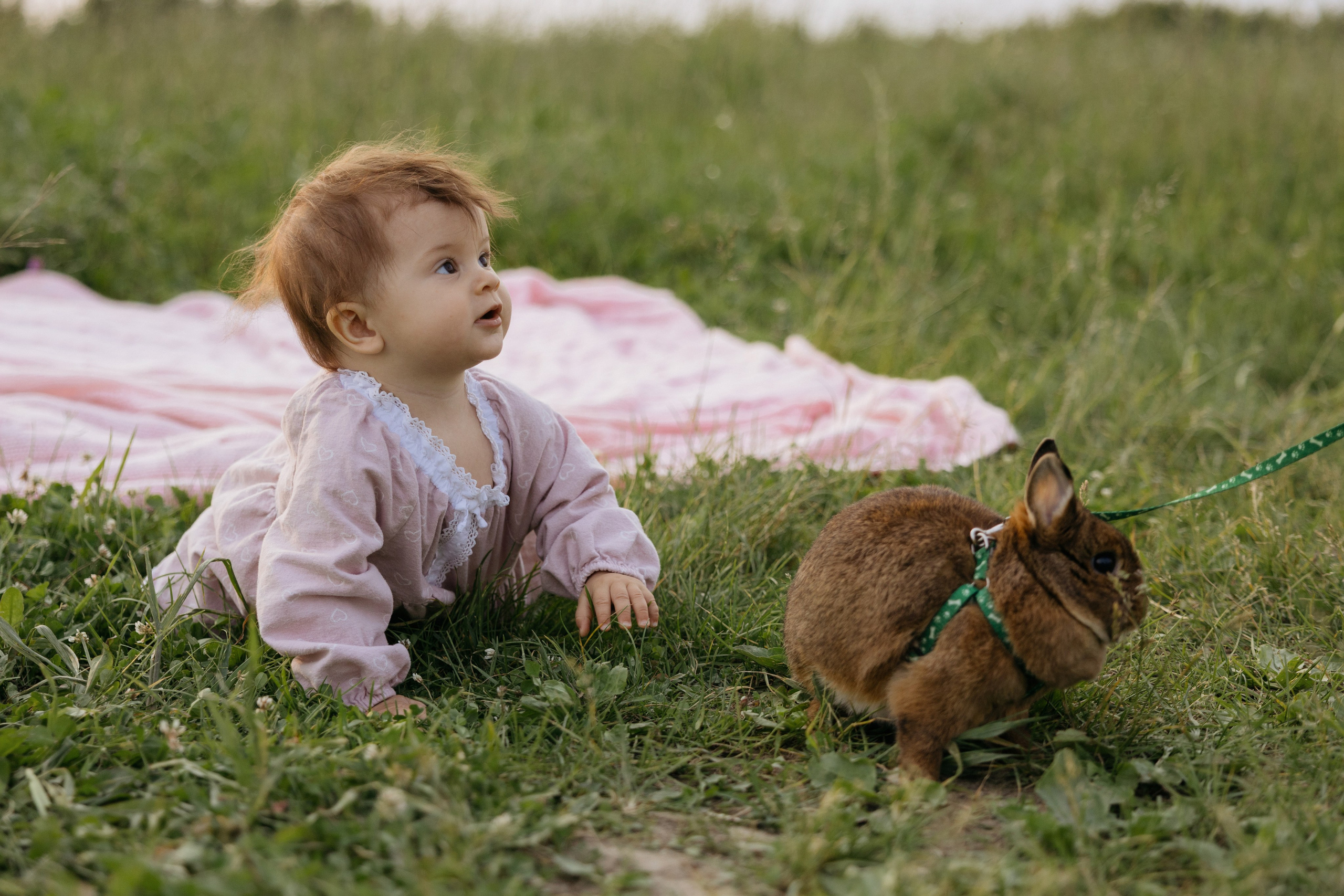 Песни и самолеты. Свадебный фотограф в Москве Полина Лелетко