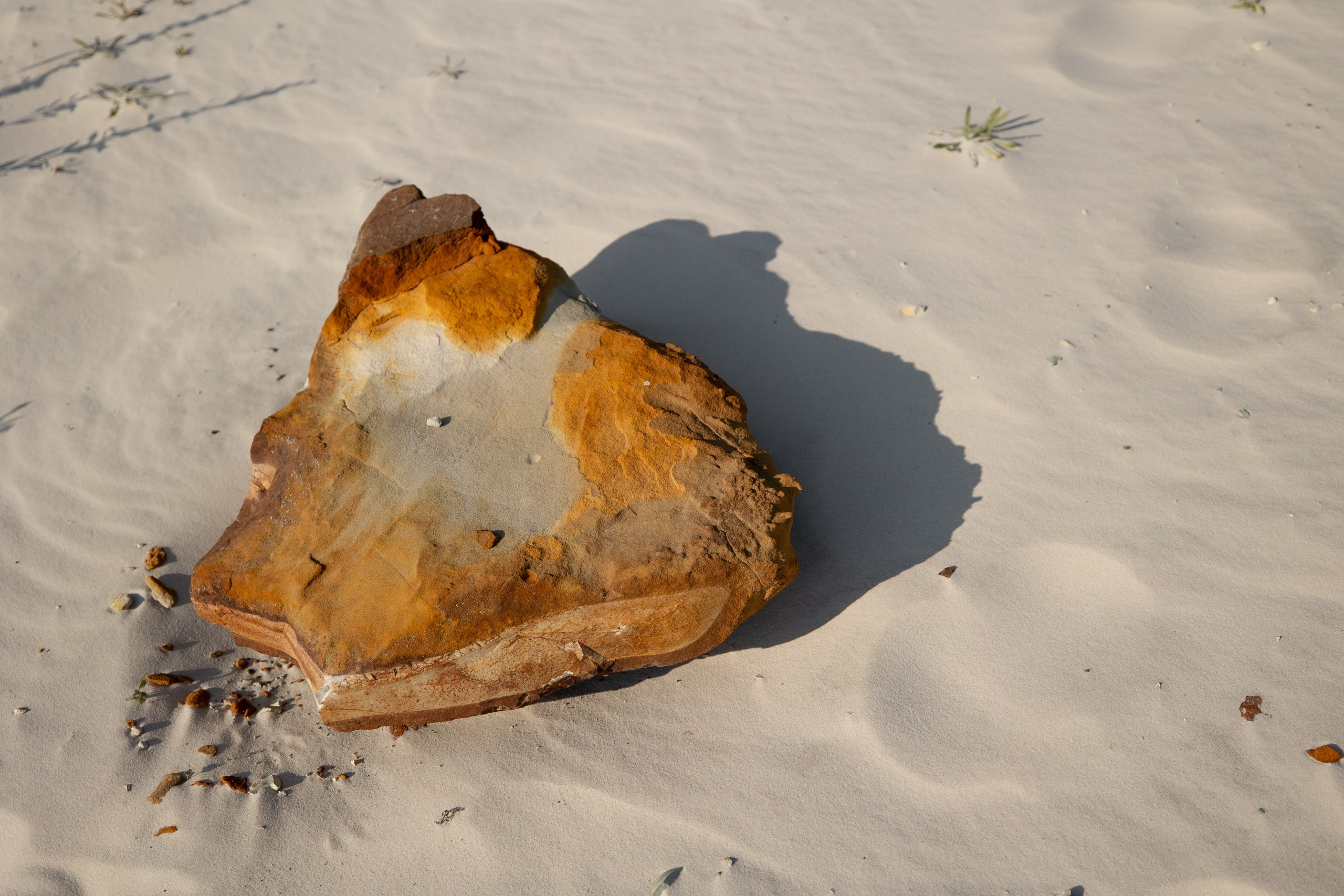 На красной планете. Свадебный фотограф в Ульяновске Владимир Лесников