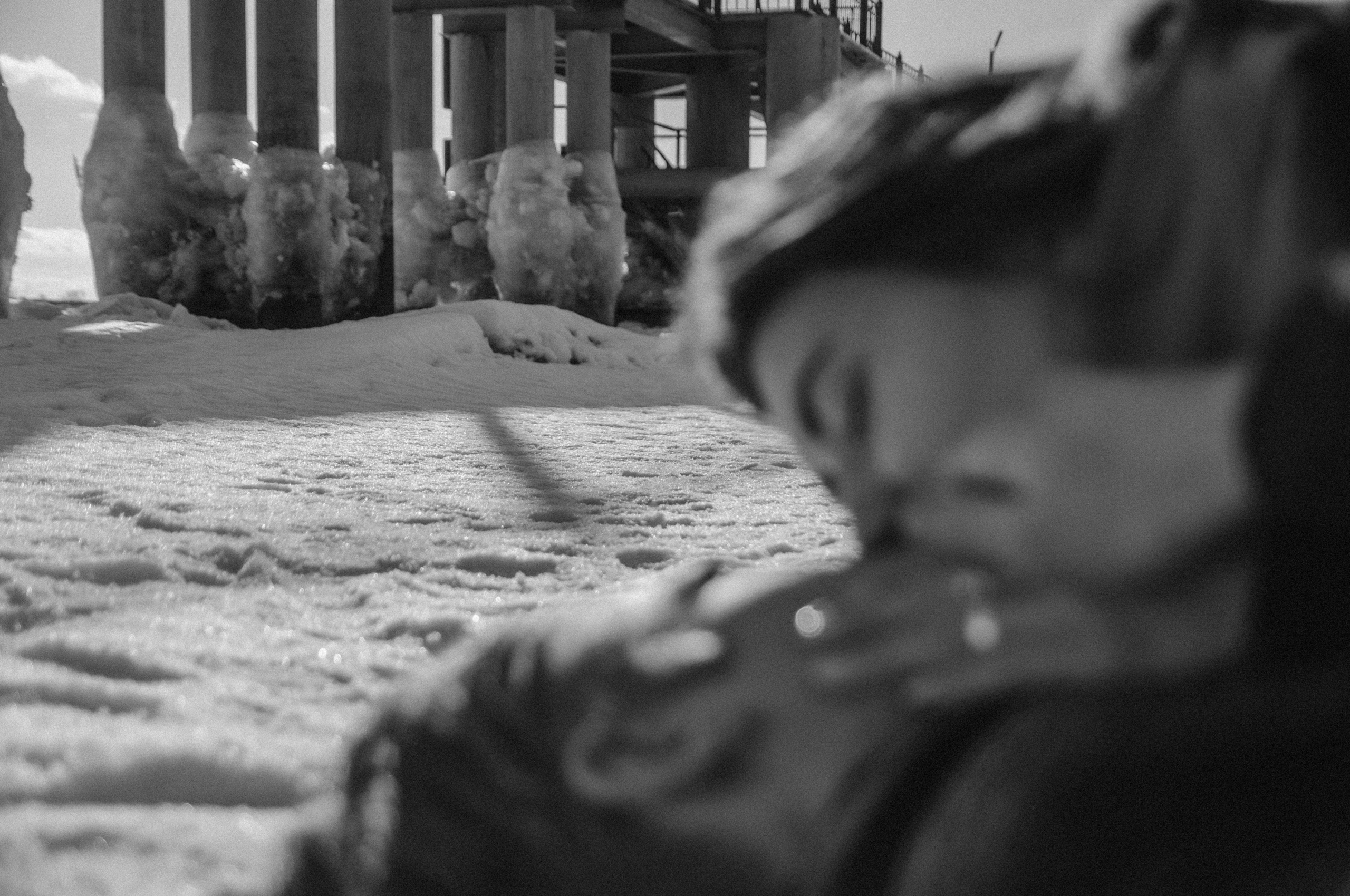 *. Фотограф Данил Бушуев