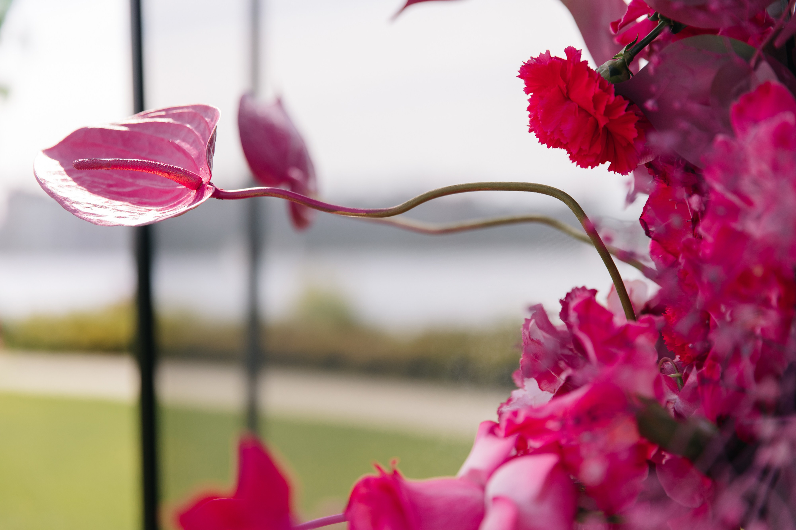 Вероника и Денис. Свадебный фотограф в Санкт-Петербурге Екатерина Евсеева