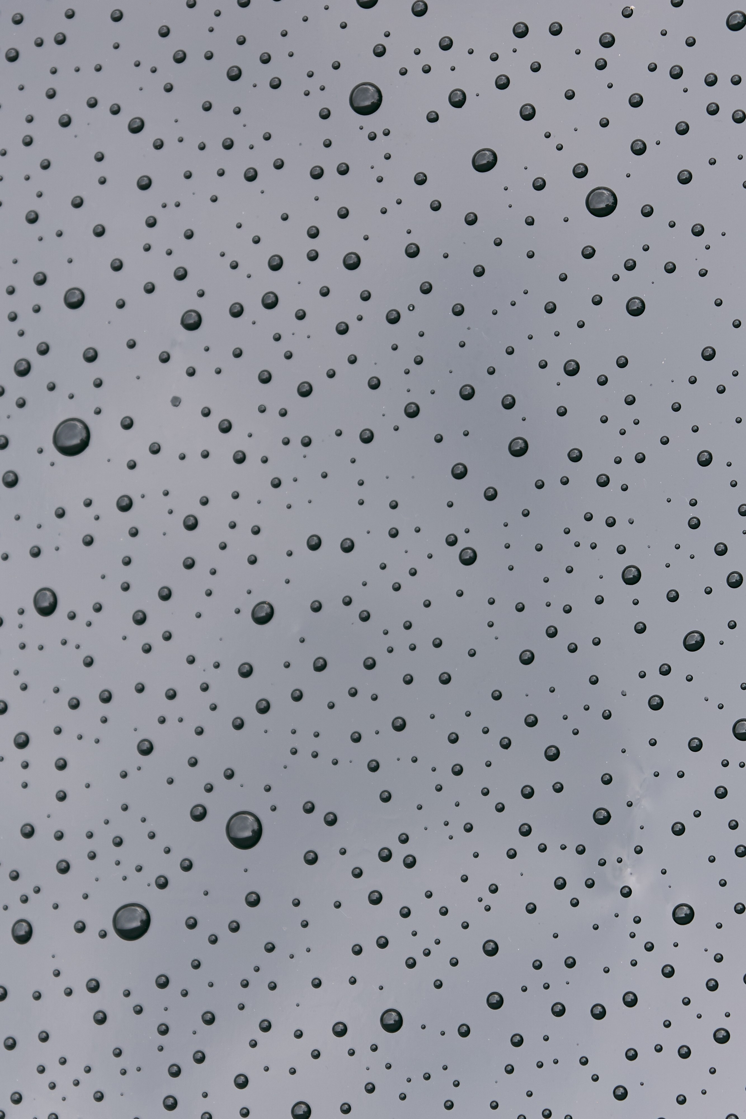 Иван и Диана. Фотограф Диана Хасанова, г. Казань