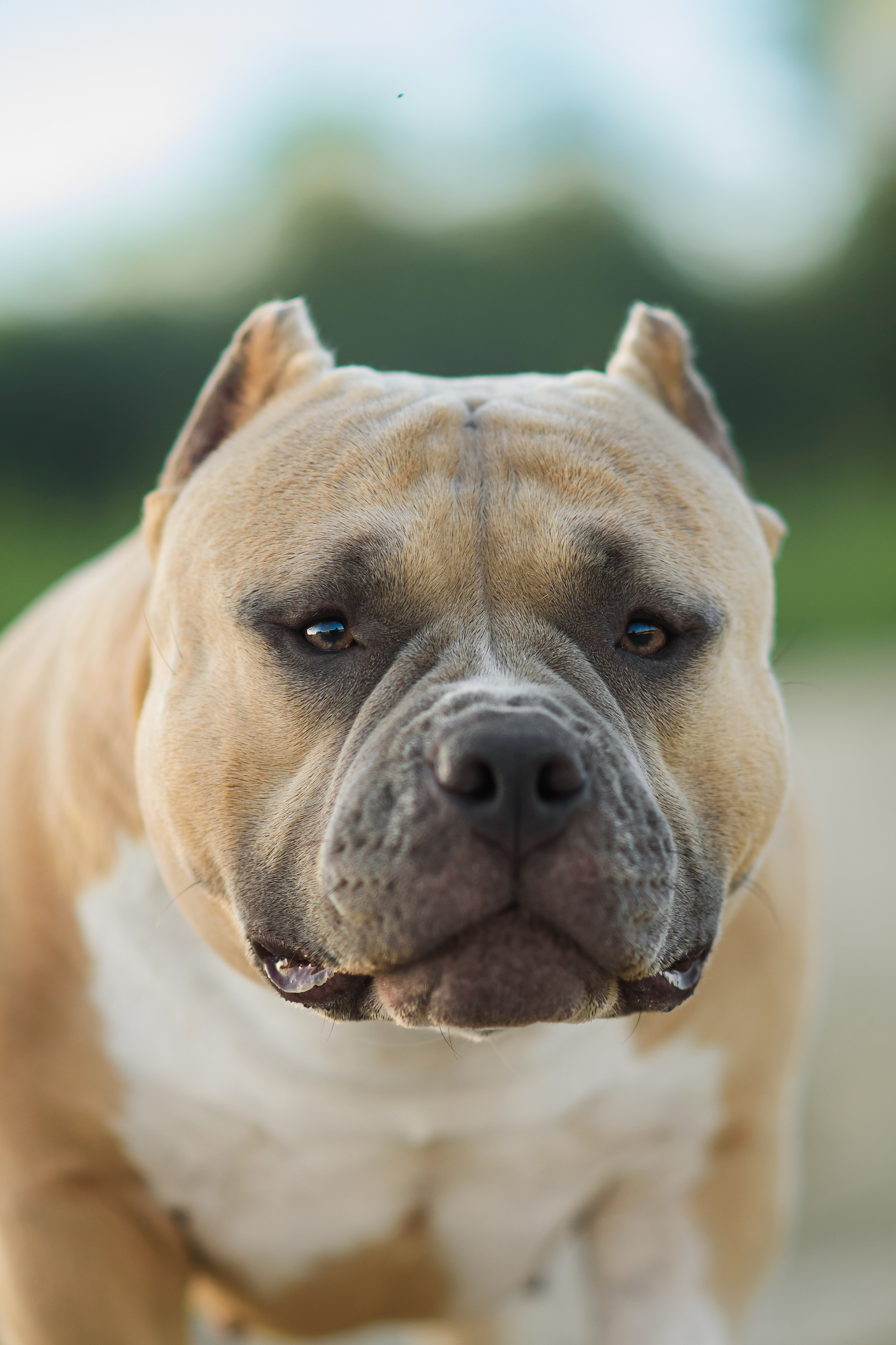 Фотограф — Анималист | Анна Абрамова