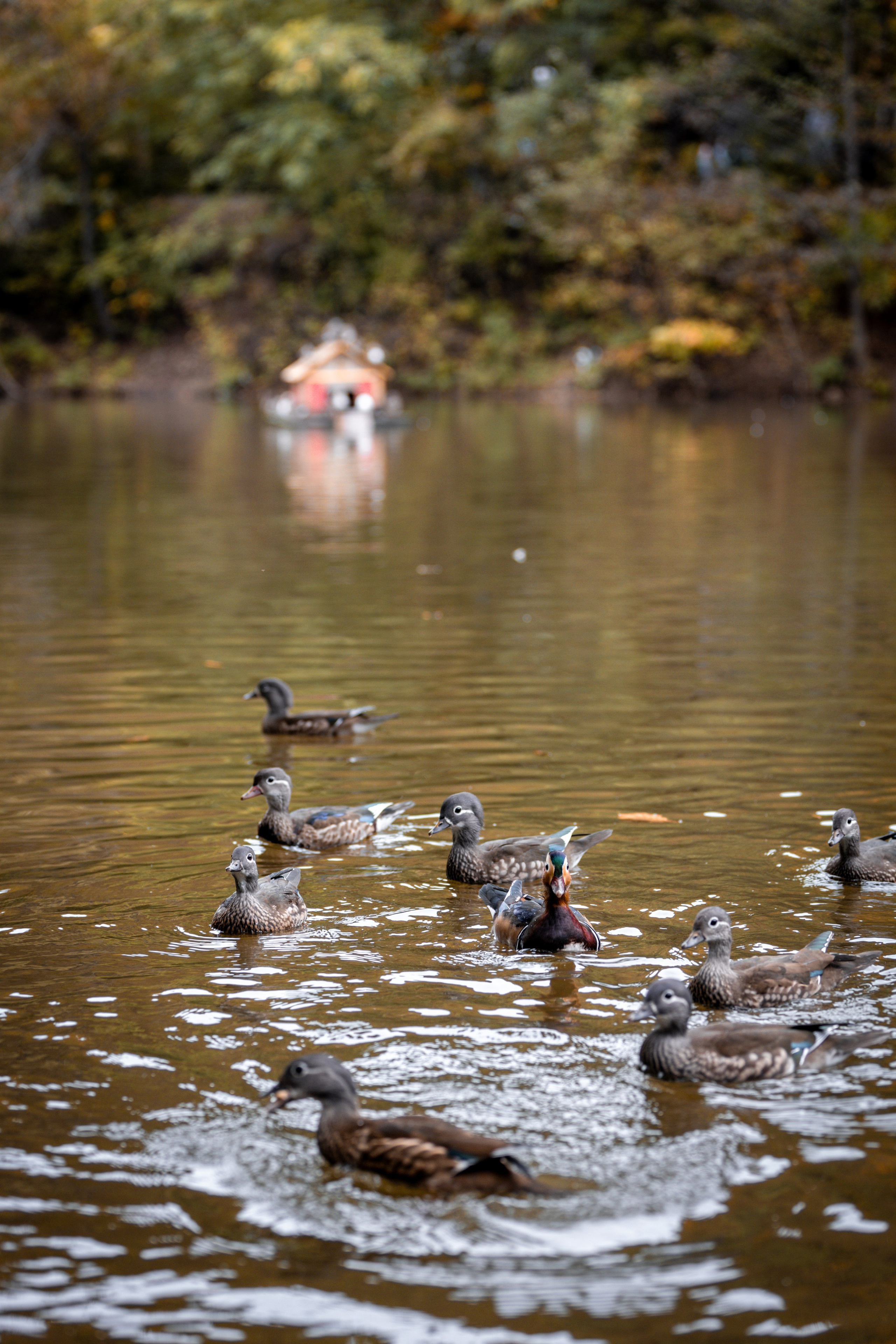 Семья — это самое важное, что есть на свете. Фотограф Никита Кучма
