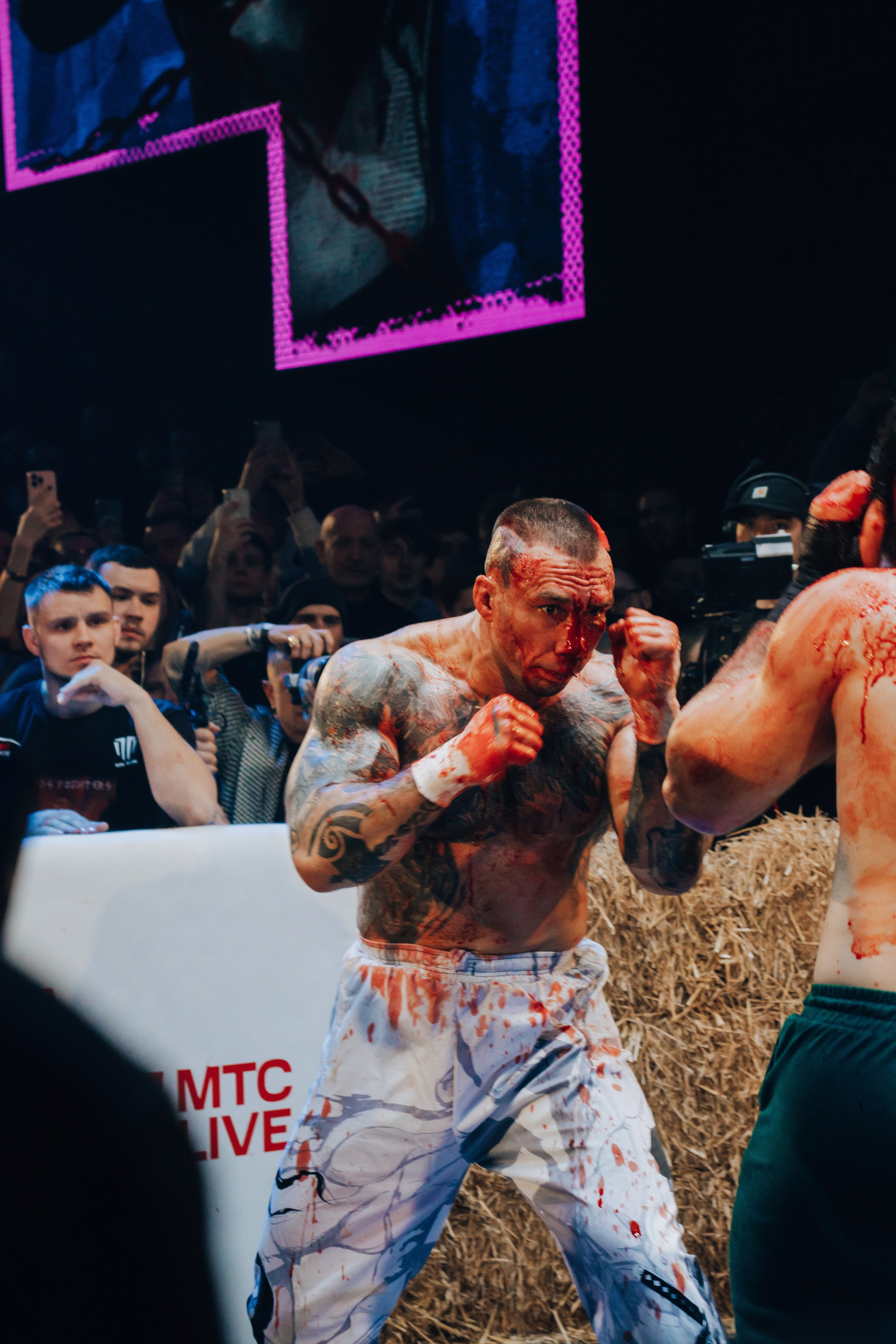 Кулачные бои TopDog. Анастасия Тен