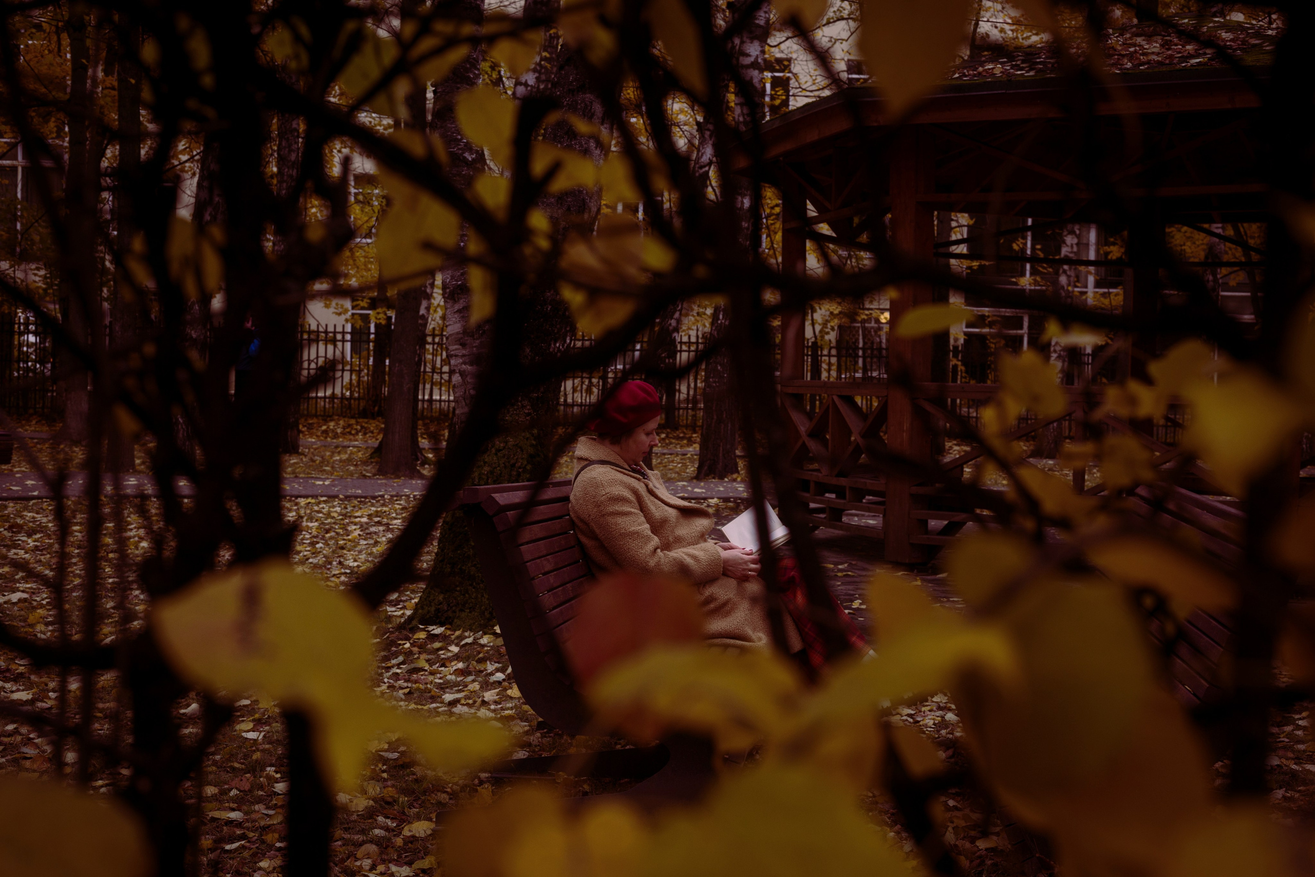 Ностальгия. Ekaterina Beridze