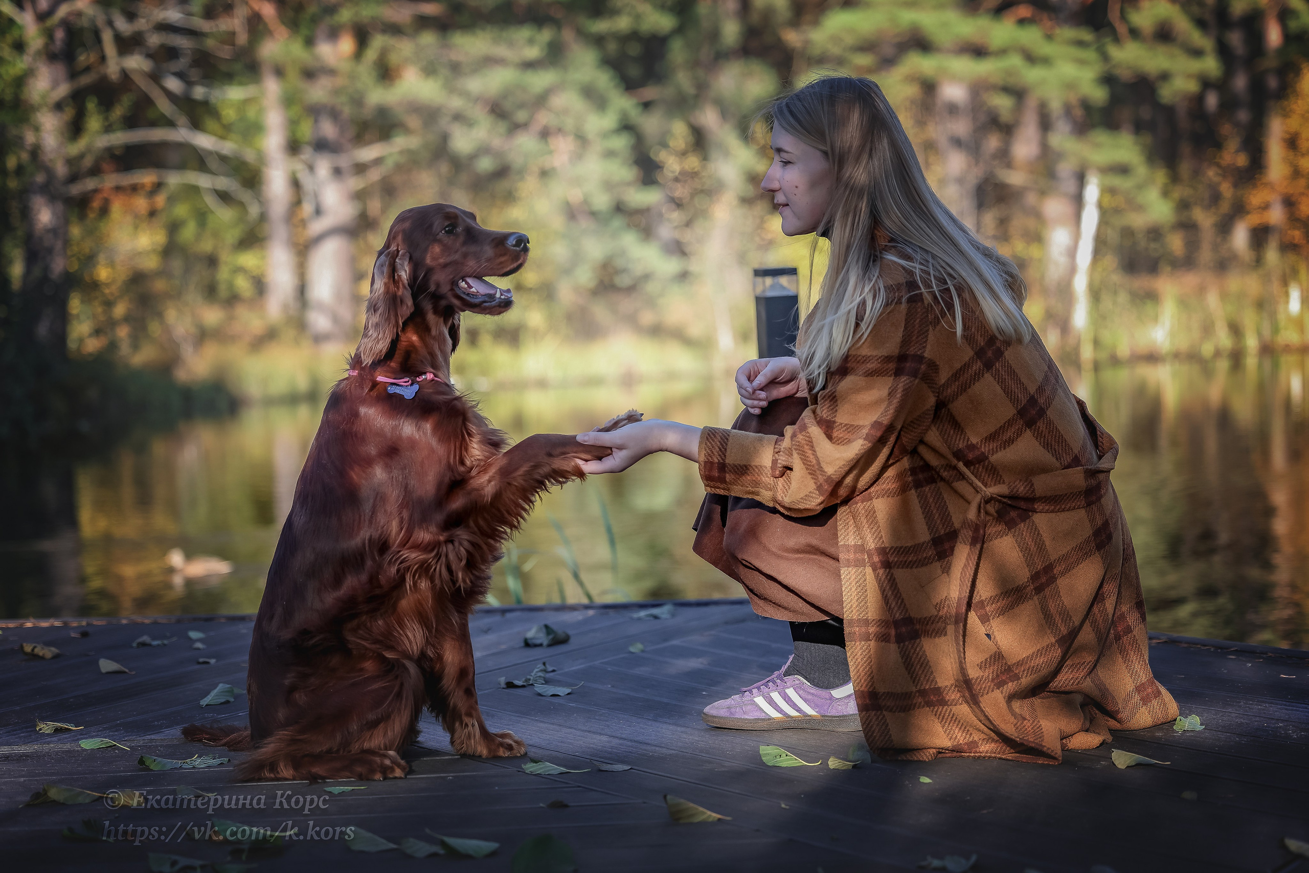 Собаки и люди. Главная