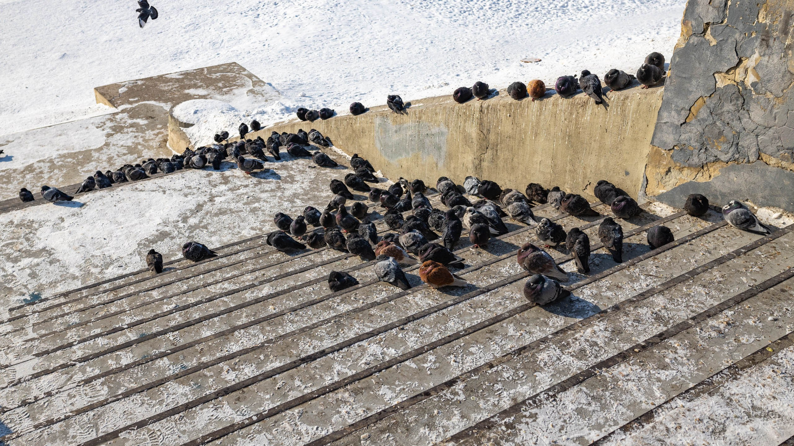 2022 02 Иркутск, Байкал. Фотографии