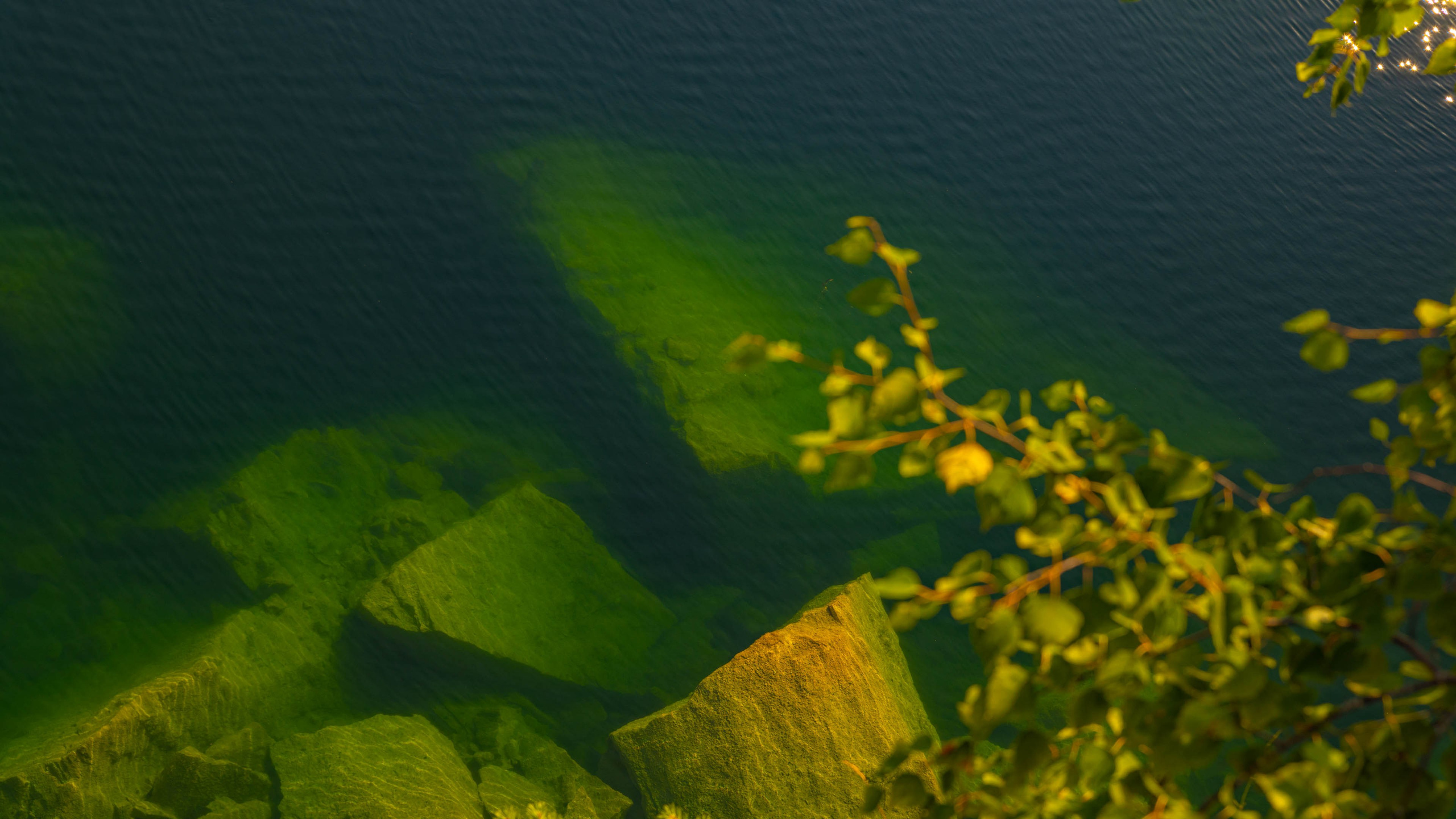 2025 07 Выборг — Сортавала — Великий Новгород — Псков. Фотографии