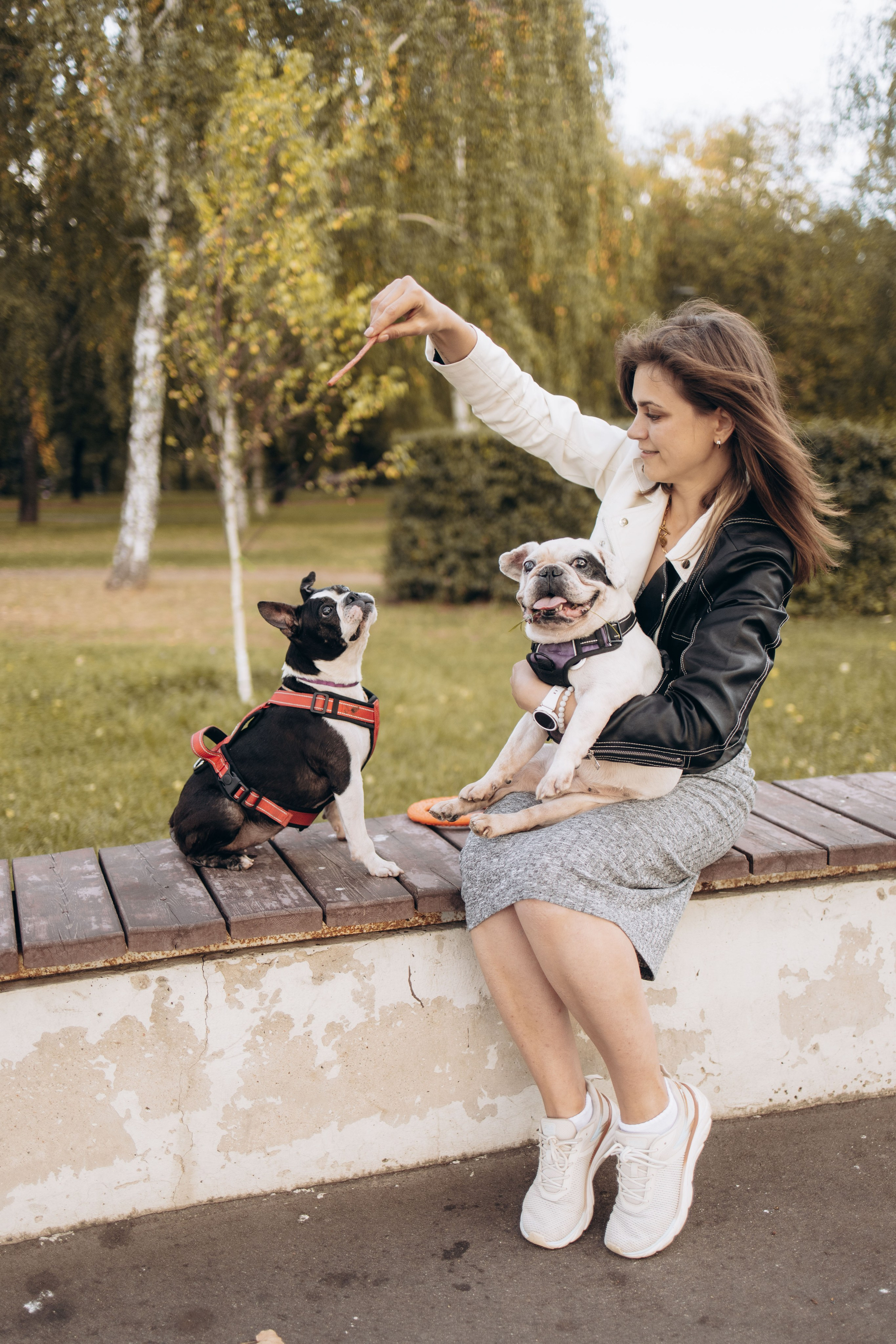 Оля и бульдоги