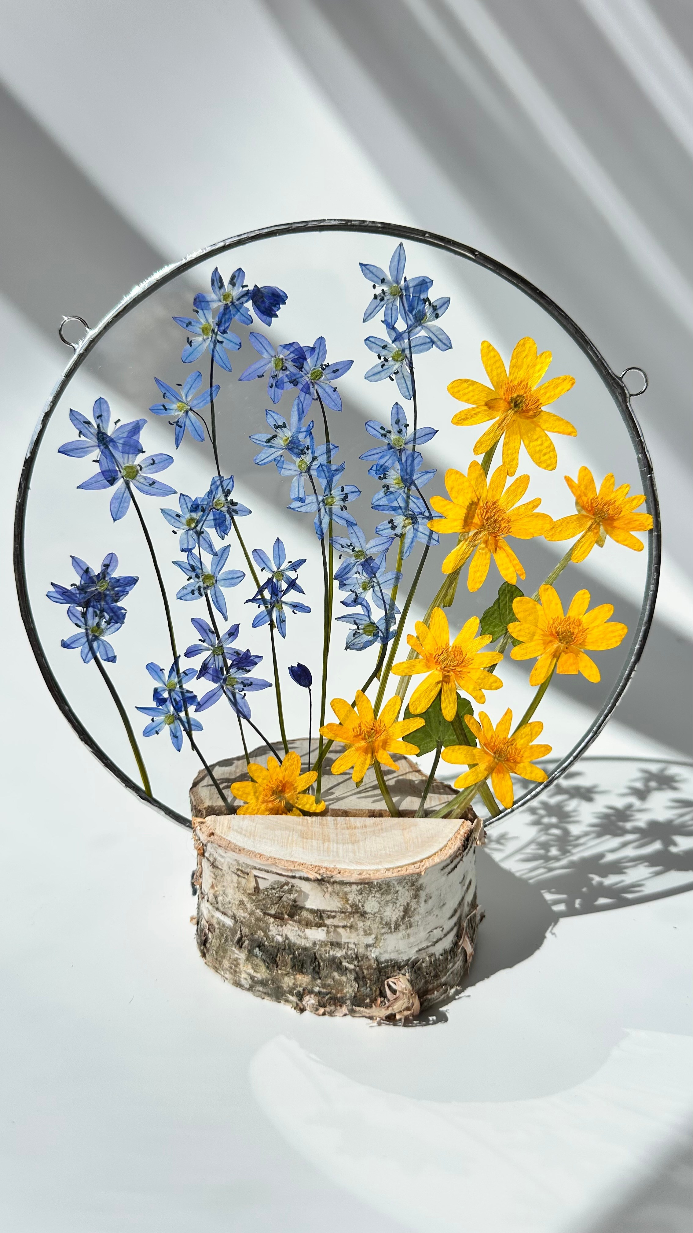 Оформляю пространства. Витражи с сухоцветами в технике Тиффани