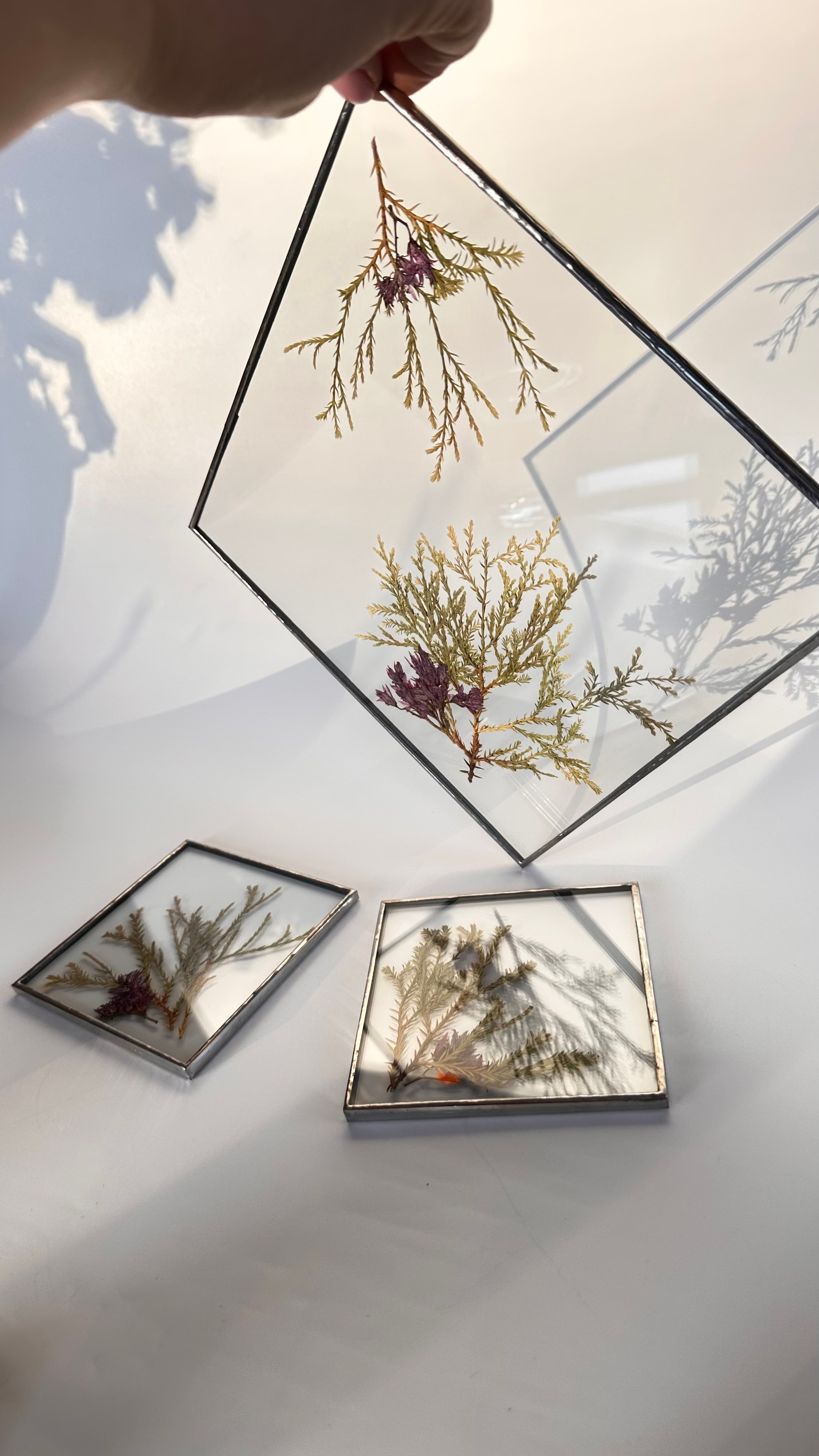 Гербарий в стекле с сухоцветами (витраж в технике тиффани). Гербарий в стекле, интерьерные панно, витражи с сухоцветами в технике тиффани