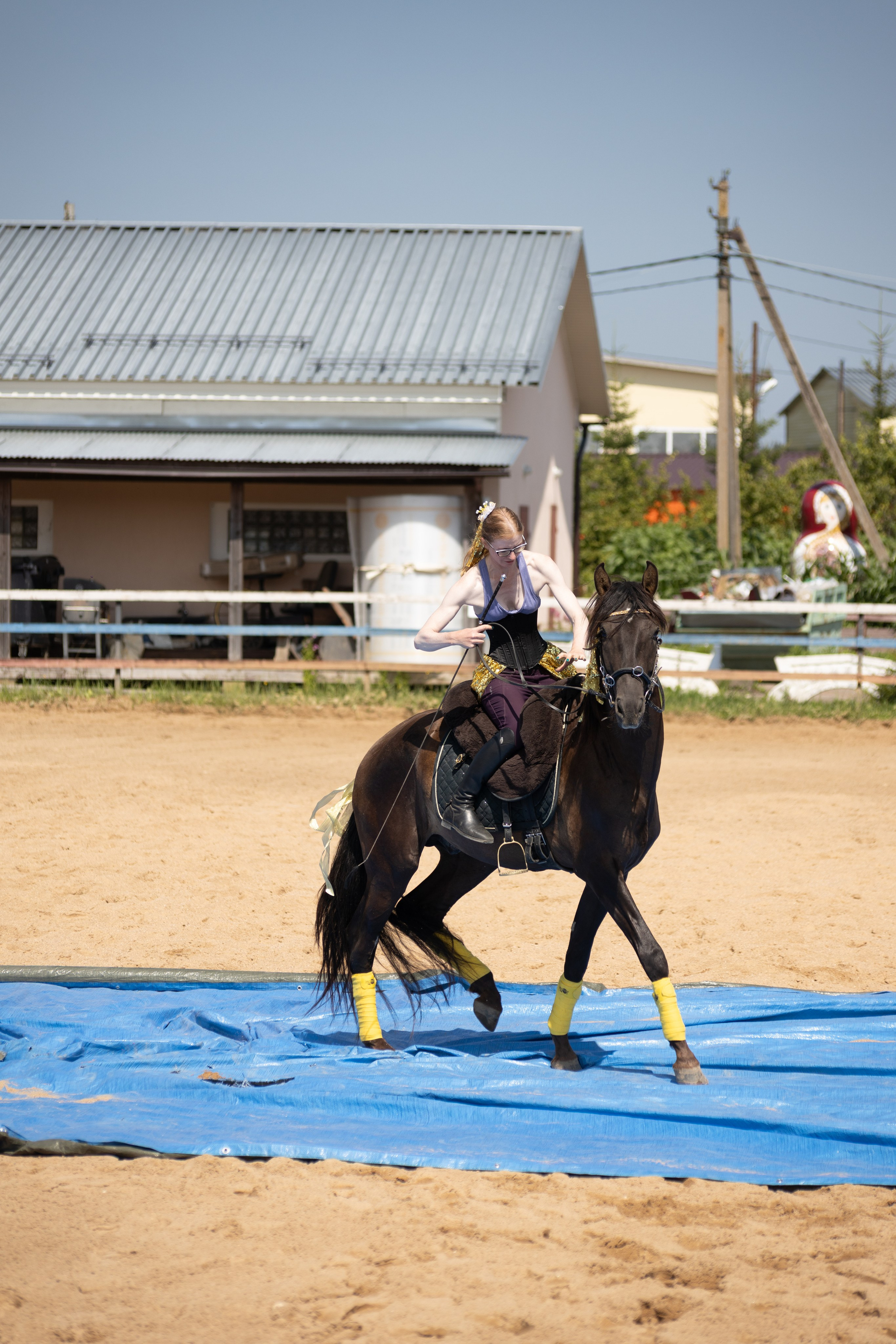 Конюшня. Фотограф в Москве и Истре